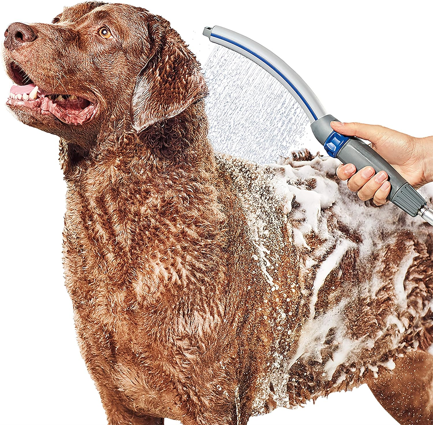 Waterpik Pet Wand Pro Dog Shower Attachment for Fast and Easy Dog Bathing and Cleaning, Indoor and Outdoor Sprayer Includes 8-Foot Flex Hose, Blue/Grey, PPR-252E image number 1