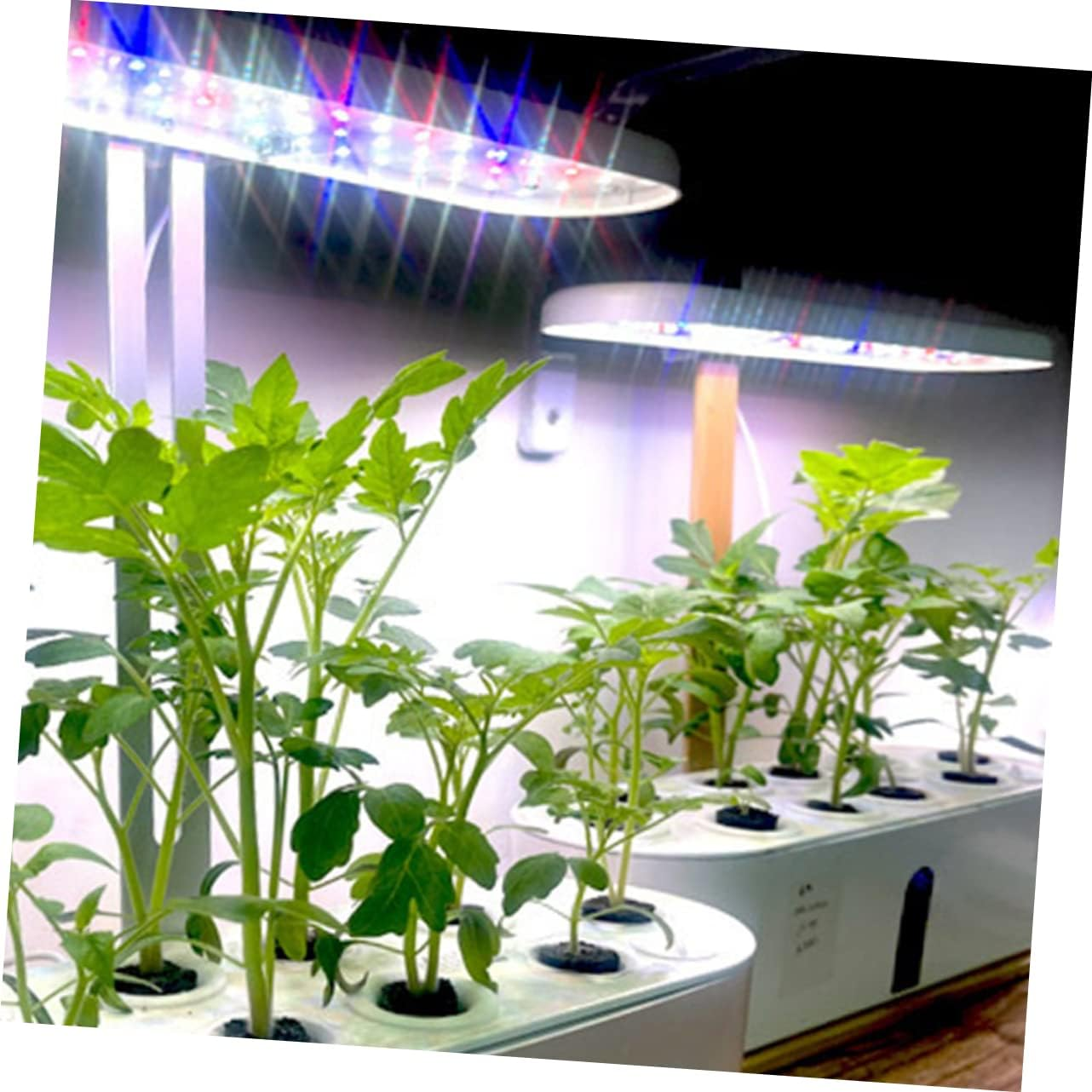 Toddmomy 50Pcs Nutrition Soil for Seedlings Bio Soil Block Compression Nature Nutrient Gardening Supplies Plant Root Cubes Seedling Potting Mix Seed Raising image number 4