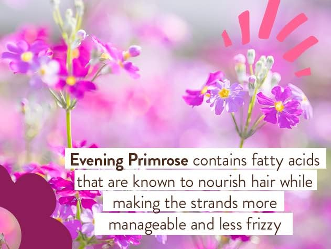 Babo Botanicals Smoothing Shampoo and Wash, Berry Primrose, 16 Fluid Ounce image number 6