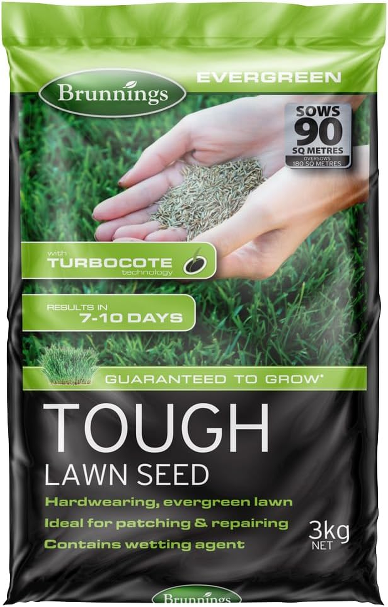 Brunnings Evergreen Tough Lawn Seed 3 Kg