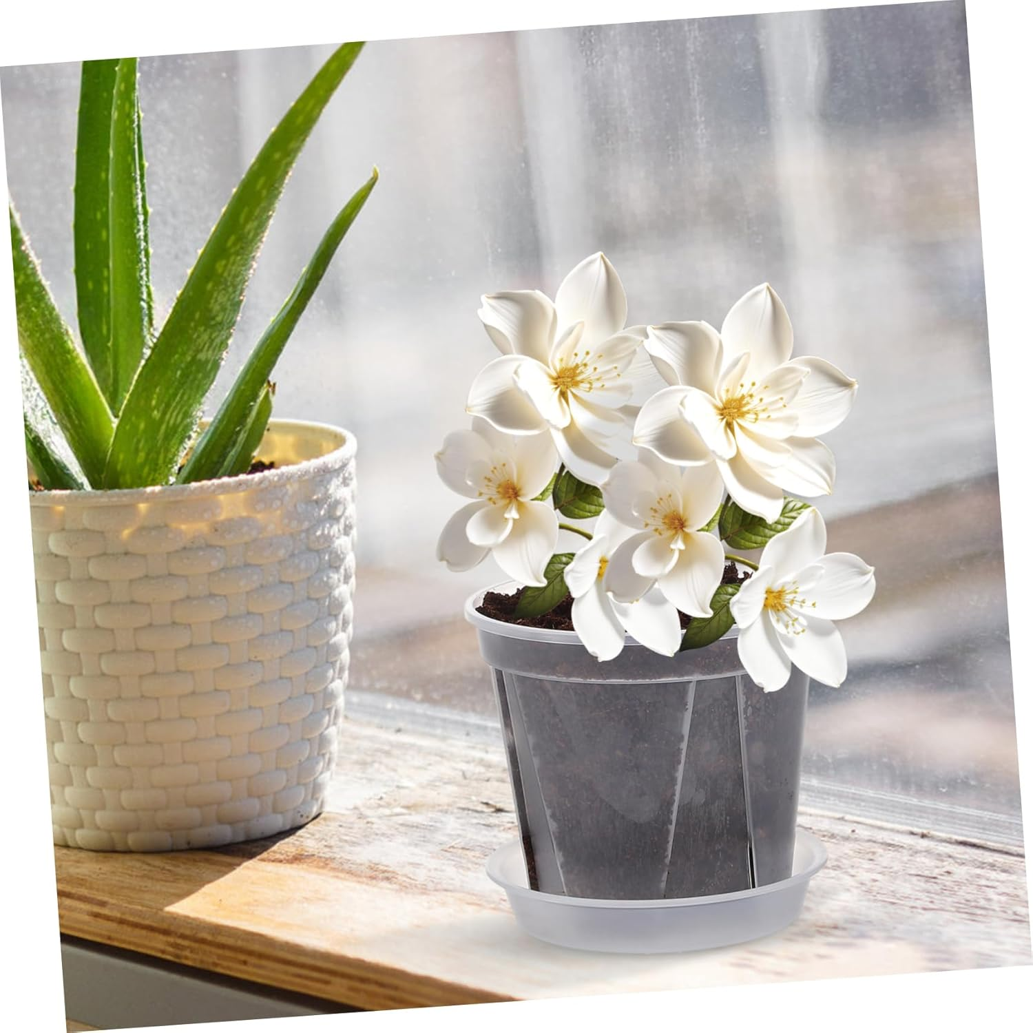 TOBBOMEY 4 Pcs Breathable Root Control Planting Pots with Drainage Trays 0.3 Gallon Plastic Planters for Indoor Orchid and Succulent Gardening image number 4