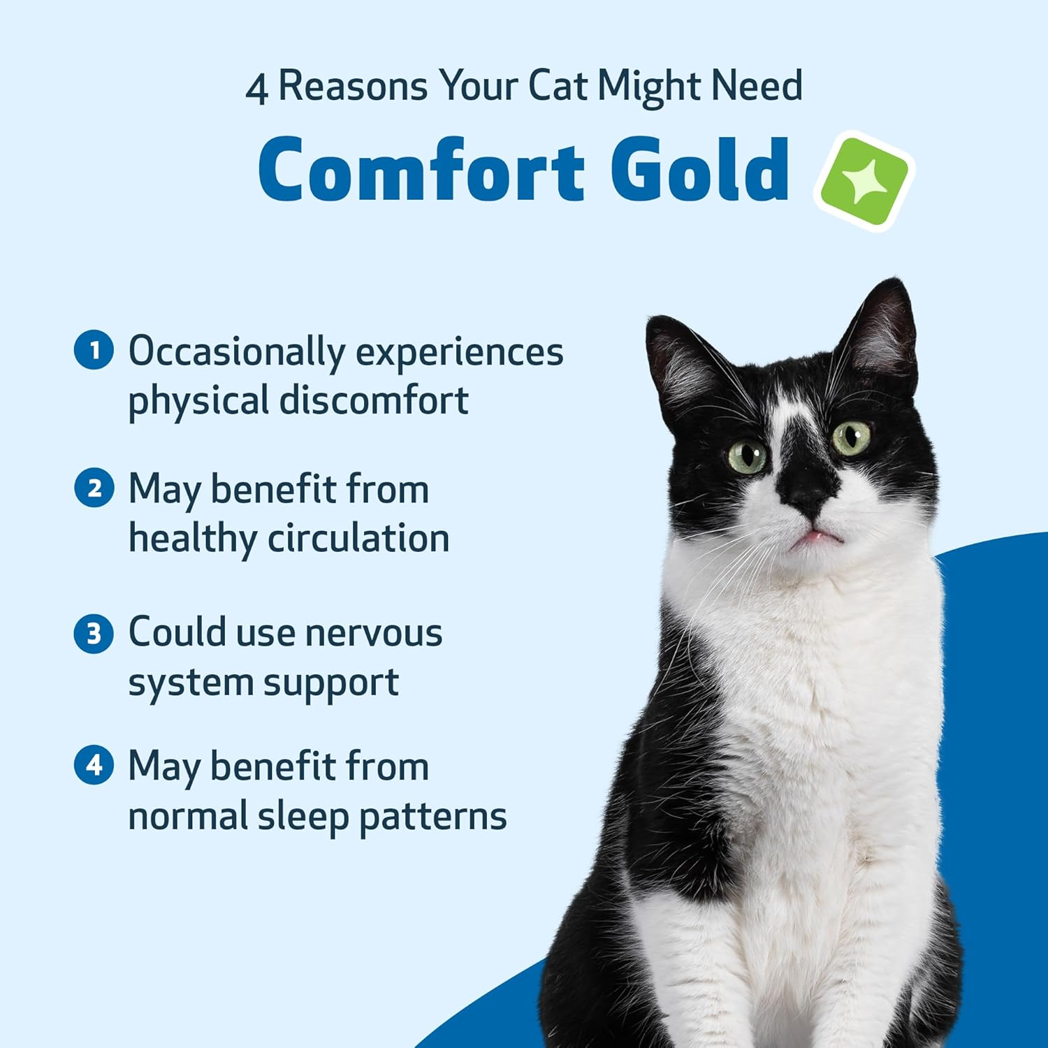 Pet Wellbeing Comfort Gold for Cats - Supports Feline Physical Comfort, Healthy Circulation, Corydalis, Turmeric - Veterinarian-Formulated Herbal Supplement 2 Oz (59 Ml) image number 4