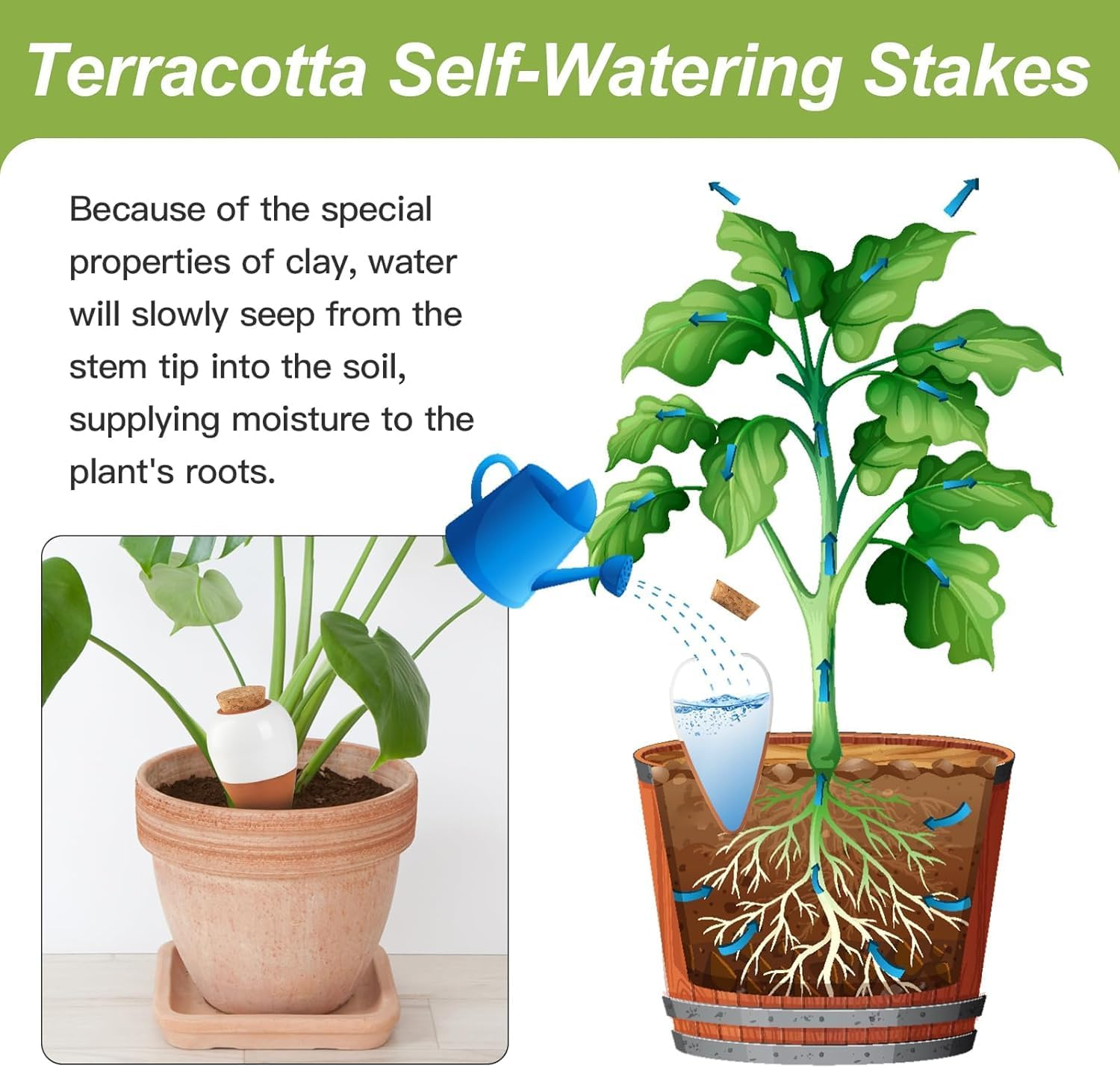 4 Pack Plant Self Watering Globes, Terracotta Watering Spikes, Slow Release Olla Pots Holds 16 Oz, Drip Irrigiation Olla System image number 6