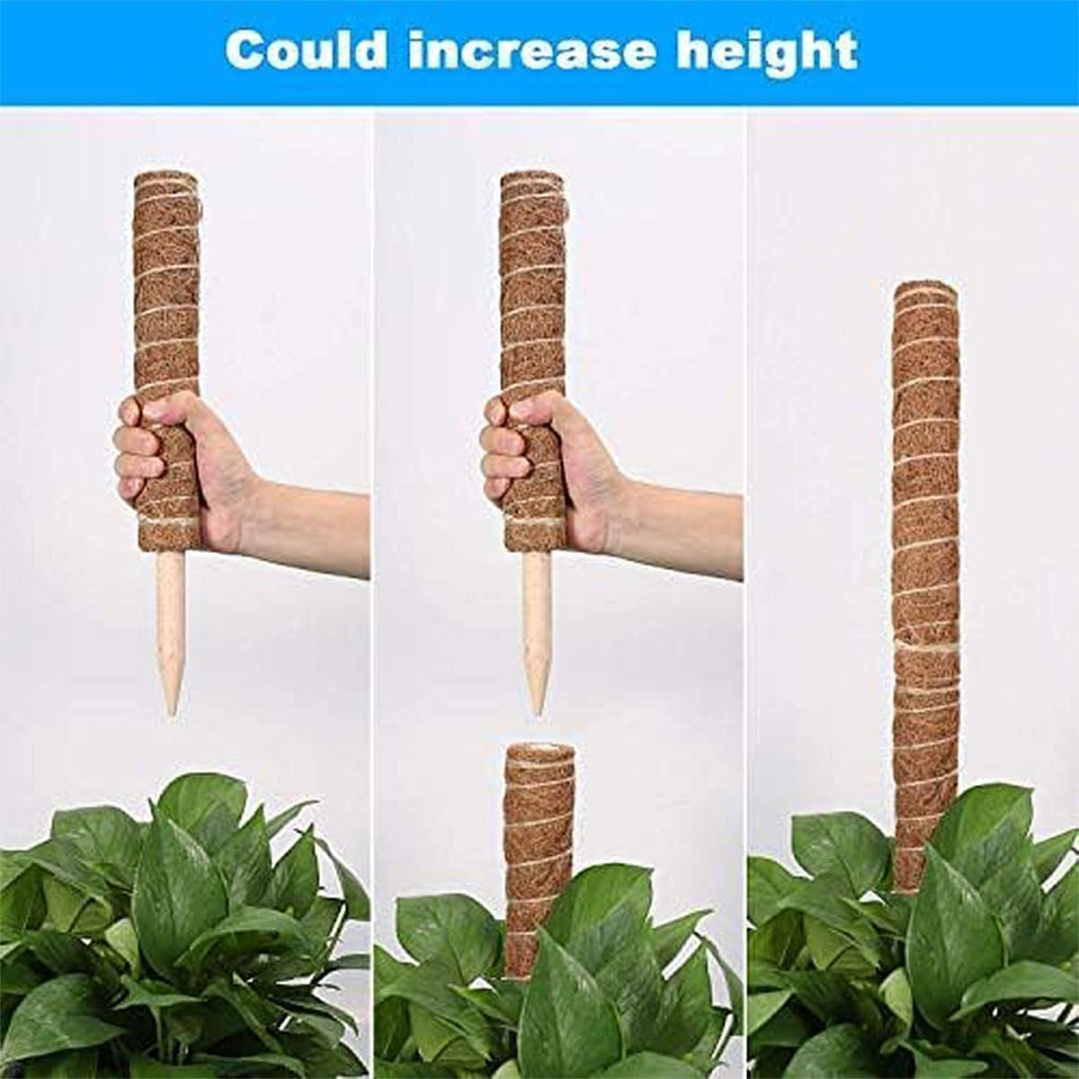 AIMALL 6 Pack Natural Coco Coir Climbing Pole 15.7In for Indoor Plants, Coconut Palm Stick Plant Support with Solid Wood Core for Potted Vine, Moss, Monstera, Rose image number 6