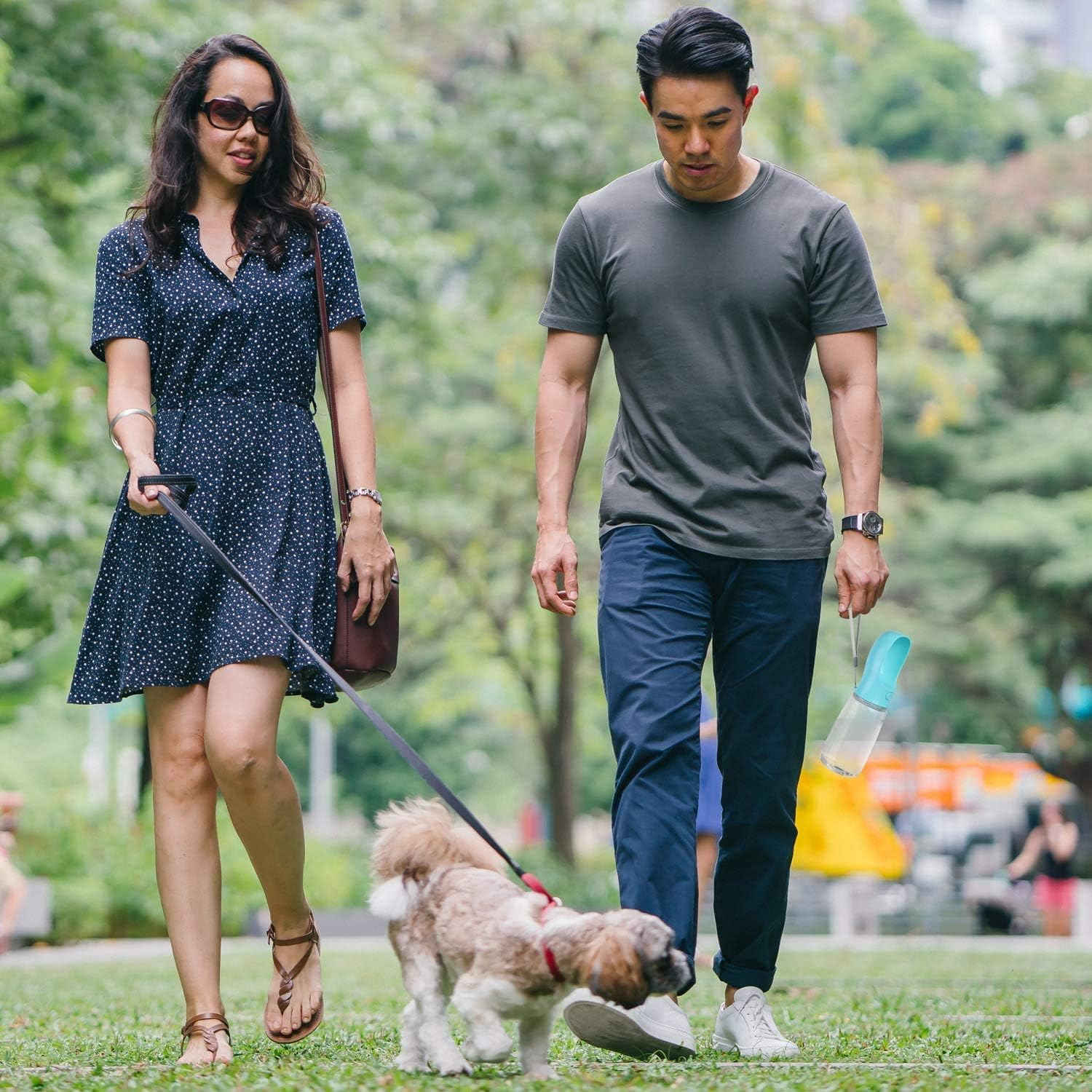 CHANCCI Dog Water Bottle, Leakproof Portable Water Dispenser with Drinking Feeder for Outdoor Walking Hiking Camping, Pet Water Drinking Bowl for Cat Puppy -18Oz/550Ml,Green