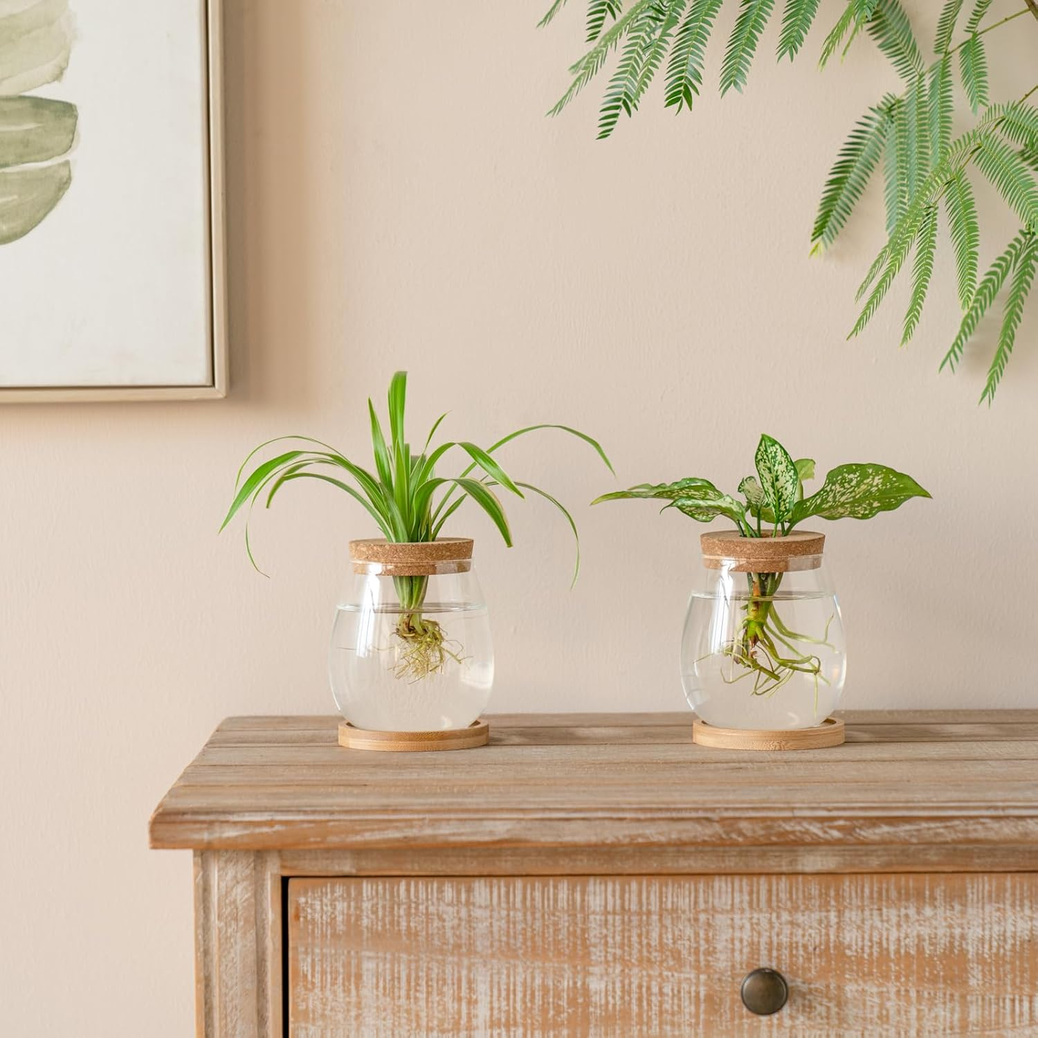 Dahey Plant Propagation Jars Plant Terrarium Glass Vase with Wooden Saucer and Cork Planter Station for Growing Hydroponic Plants Indoor Table Centerpirce Home Office Decor, Set of 2 image number 4