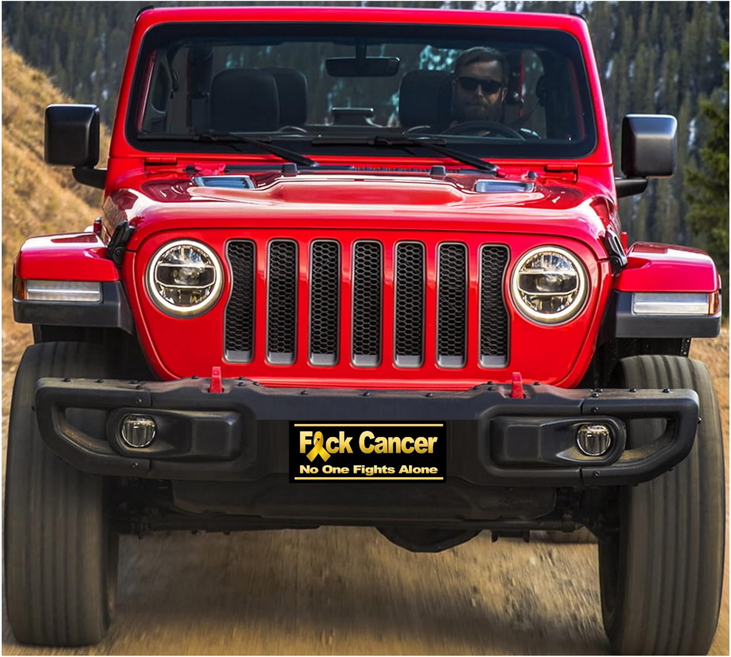 ACTIONX F Cancer (5 Pack) 7" X 3" Pediatric Cancer Stickers for Car, Truck, Laptop Window - Humorous, Bold Typography, Vinyl, Outdoor, Rectangular, Single Use, Letter Print, Powder Coated image number 1