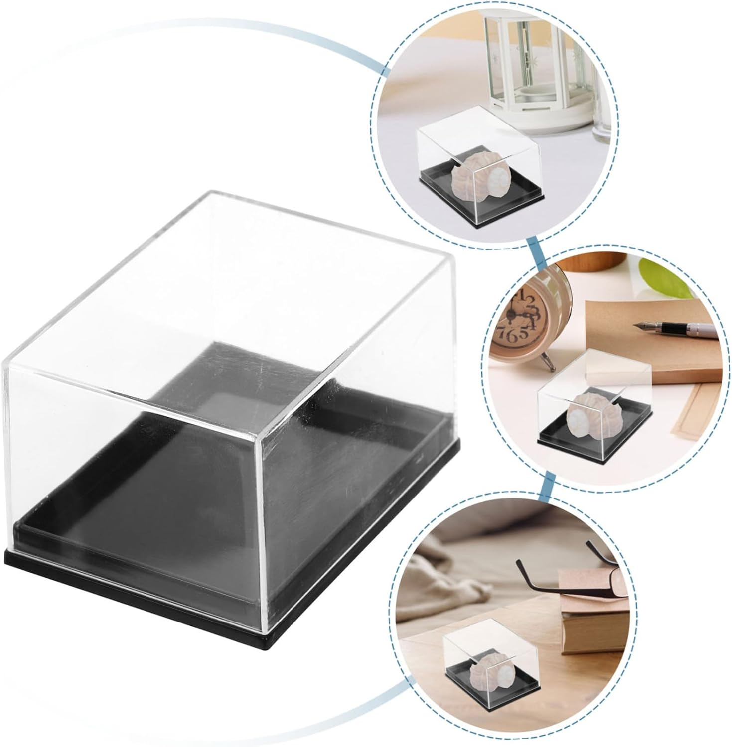 STOBAZA Mineral Specimen Display Box Set, 4Pcs Small Storage Case Lid, Plastic Specimen Storage Container for Jewelry and Mineral Collections in Australia image number 6