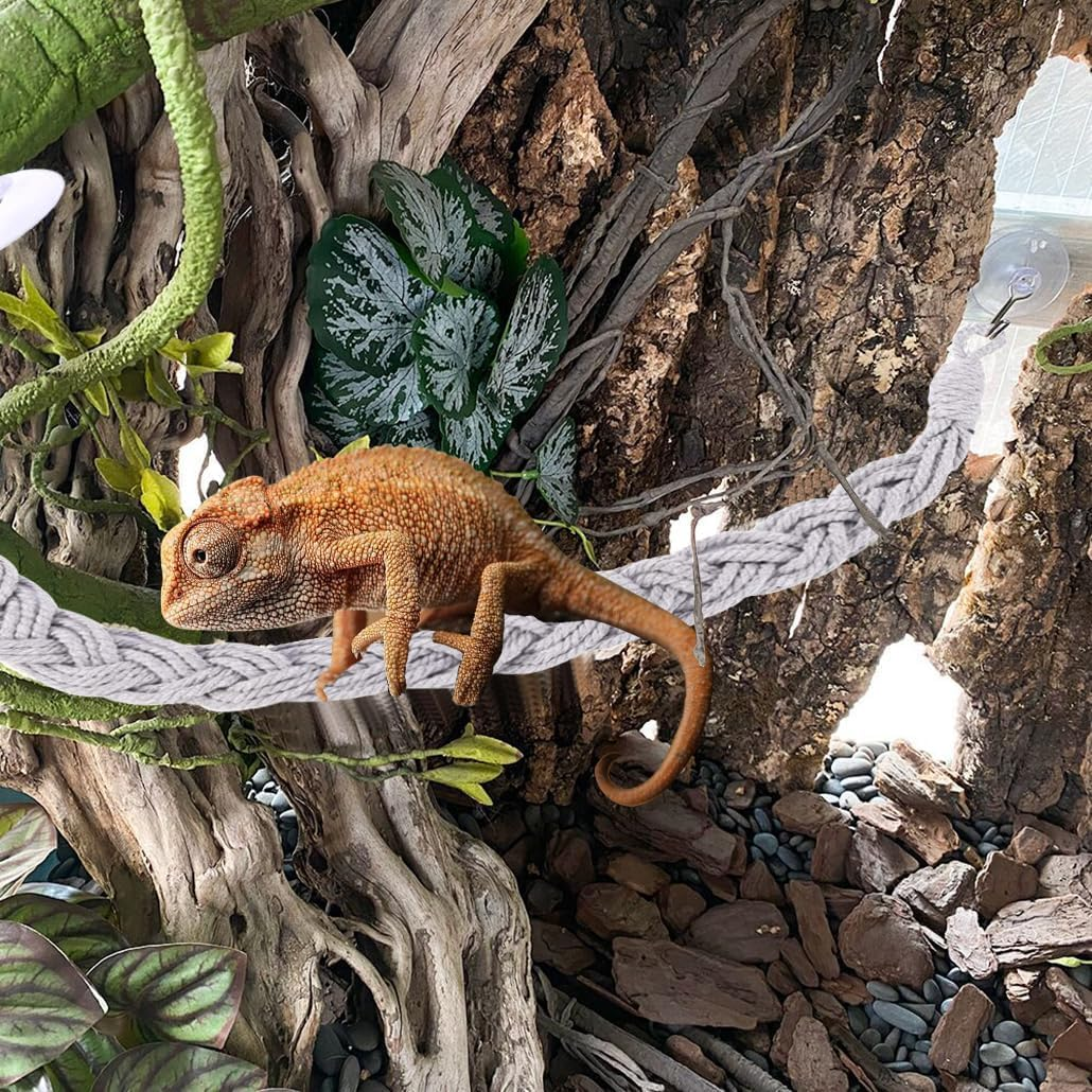 2Pcs Hermit Crab Climbing Rope,Hermit Crab Climbing Jute Rope,Hermit Crab Jute Rope with Suction Cup Hooks,Hermit Crab Rope Hermit Crab Climbing Jute Rope with Hooks,Hermit Crab Climb Rope with Hooks image number 2