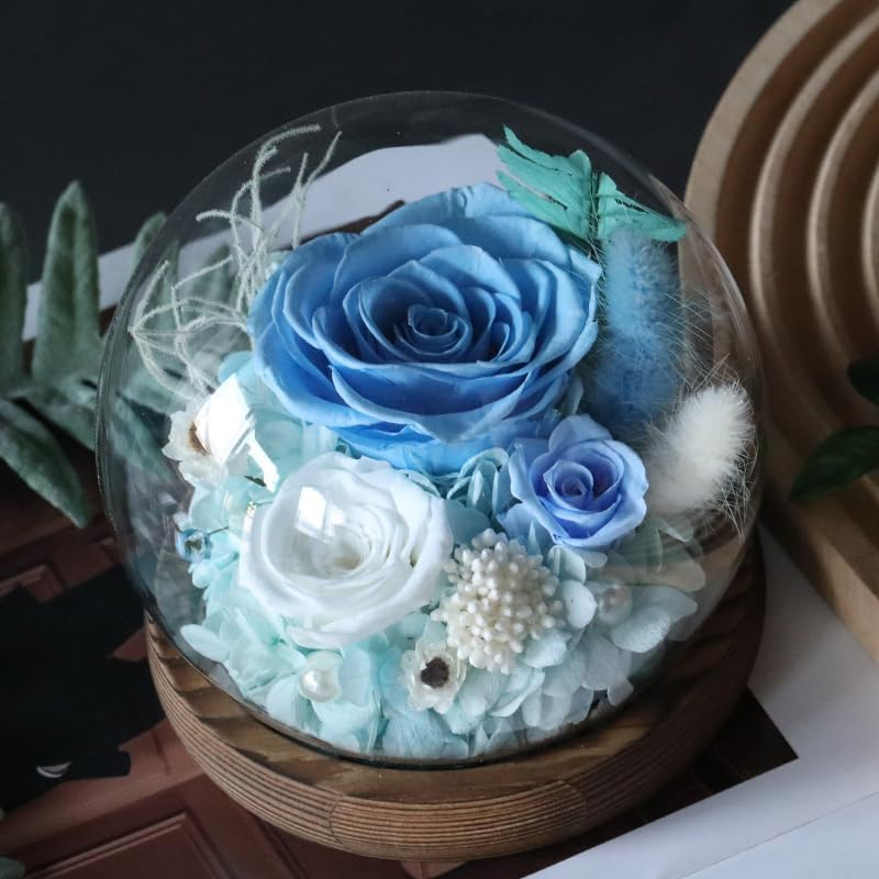Rose in Glass Dome, Long-Lasting Real Flowers, with LED Light, Unique for Mother'S Day & Christmas & Valentine'S Day, Preserved Flowers Rose Gifts for Wife Girlfriend Mom (Red)