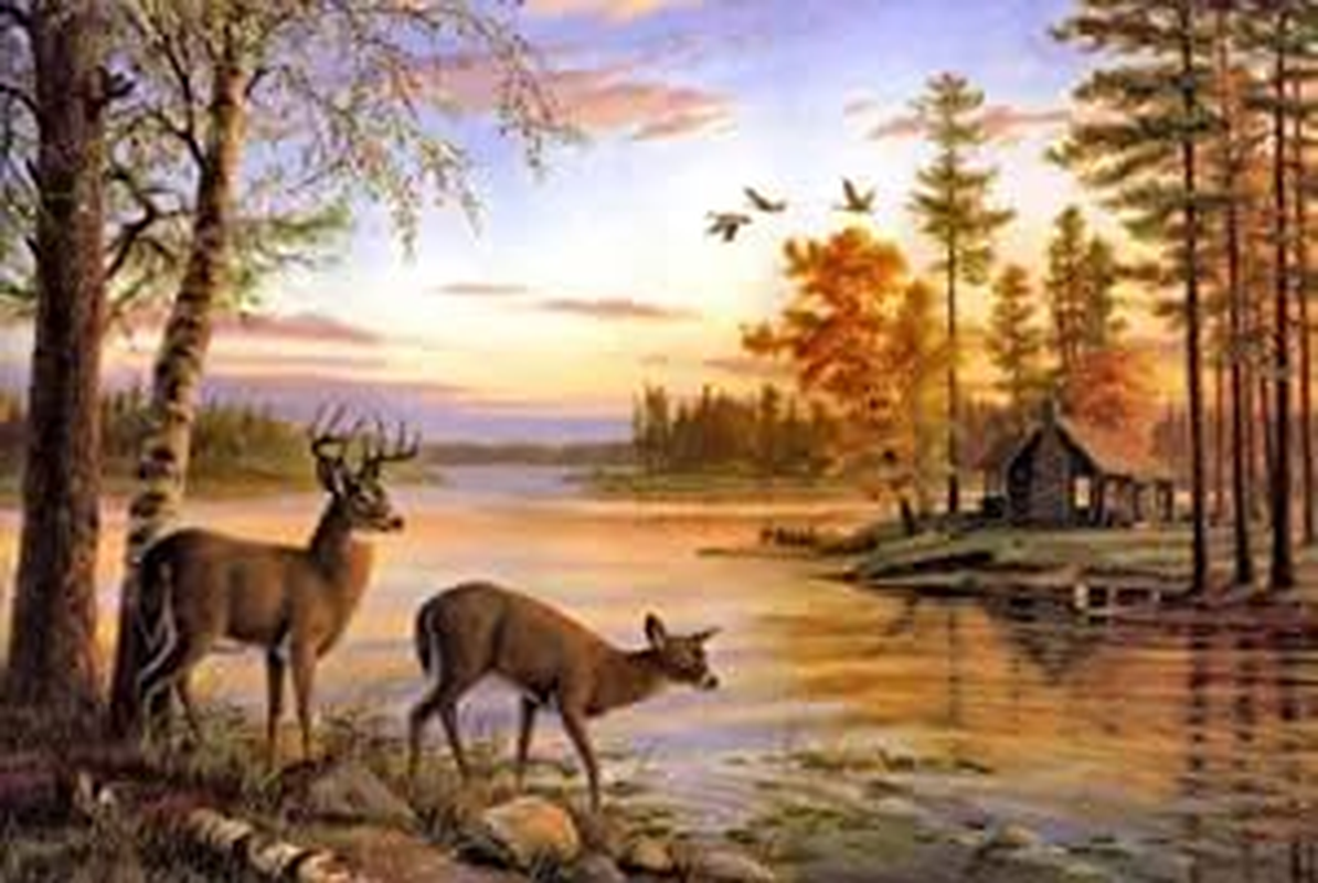 Diamond Painting Kits for Adults, 5D Diamond Art Painting Deer Art for Adult,Diy Full round 5D Diamond Drill Kit,Gem Art Craft Home Decor,Wall Painting Kit 16X12 Inch image number 1