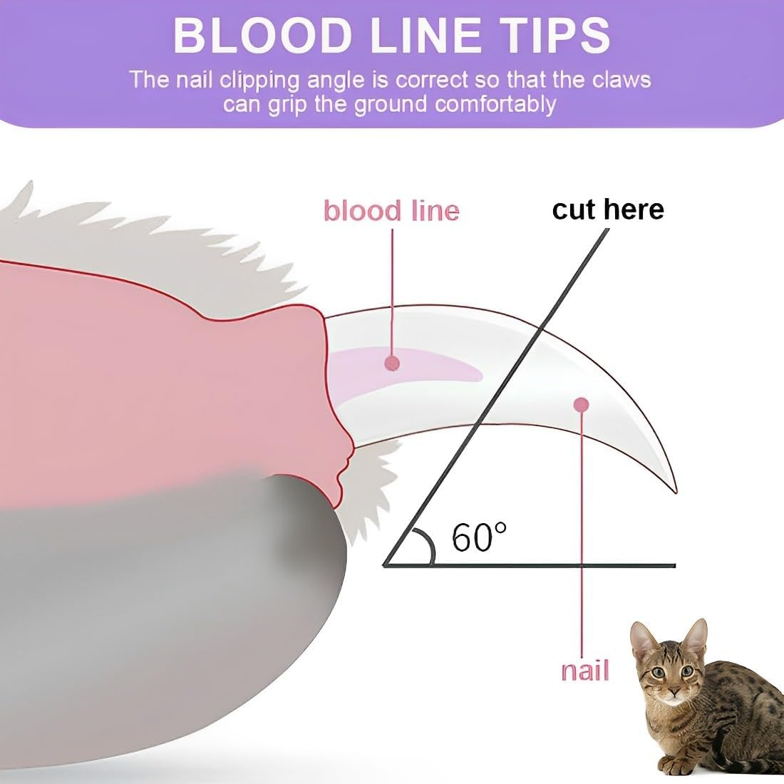 CPJJ Pack of 2 Cat Nail Clippers, Cat Claw Scissors, with 2 Mm and 4 Mm Conical Hole, Nail Clippers for Pet Cats, A, D image number 1