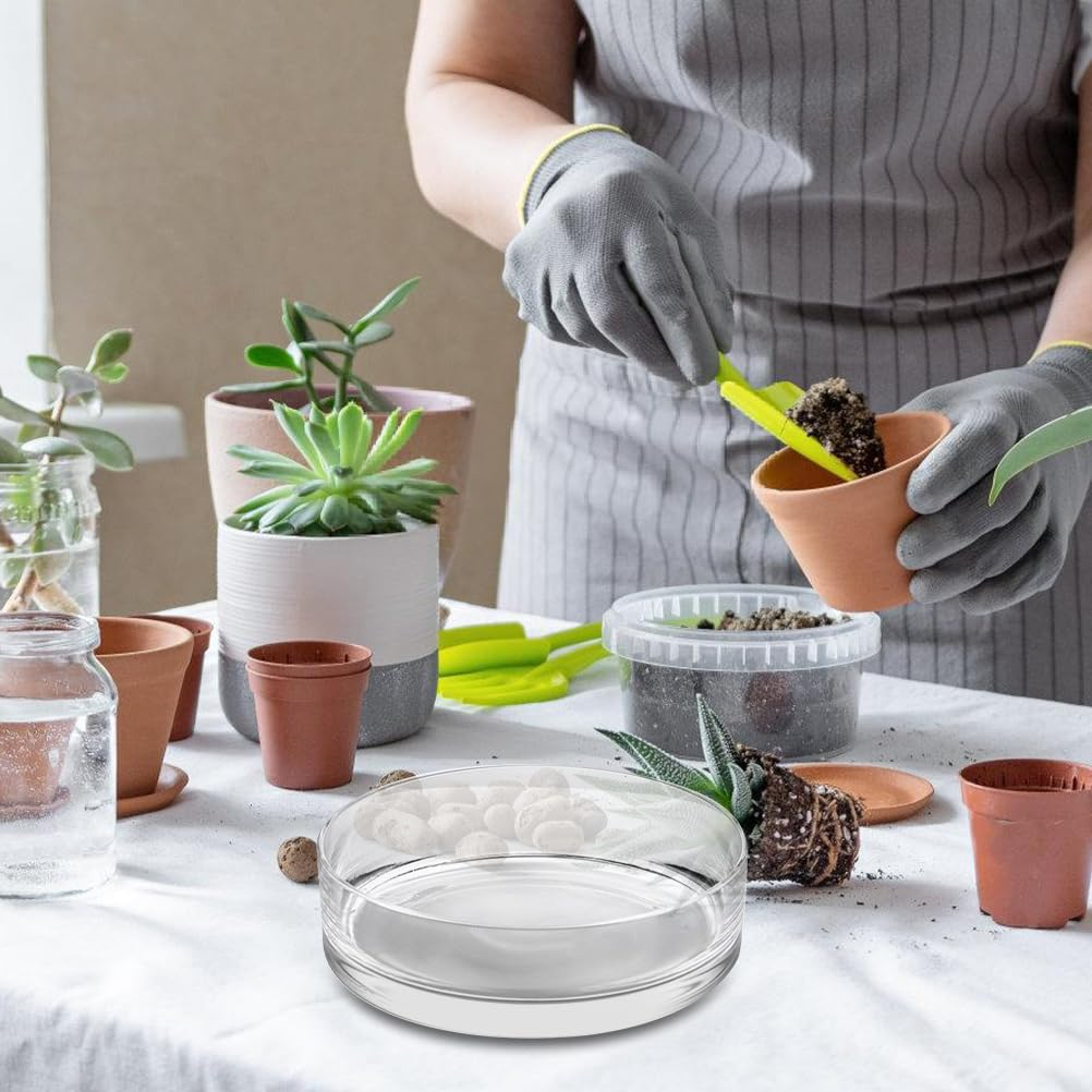 ARTIBETTER Glass Vases Bowl Terrarium Succulent Planter: Flower Glass Vase Air Plant Display Decorative Centerpiece Floral Container Fish Bowl for Home Wedding 20X20Cm Glass Containers image number 5