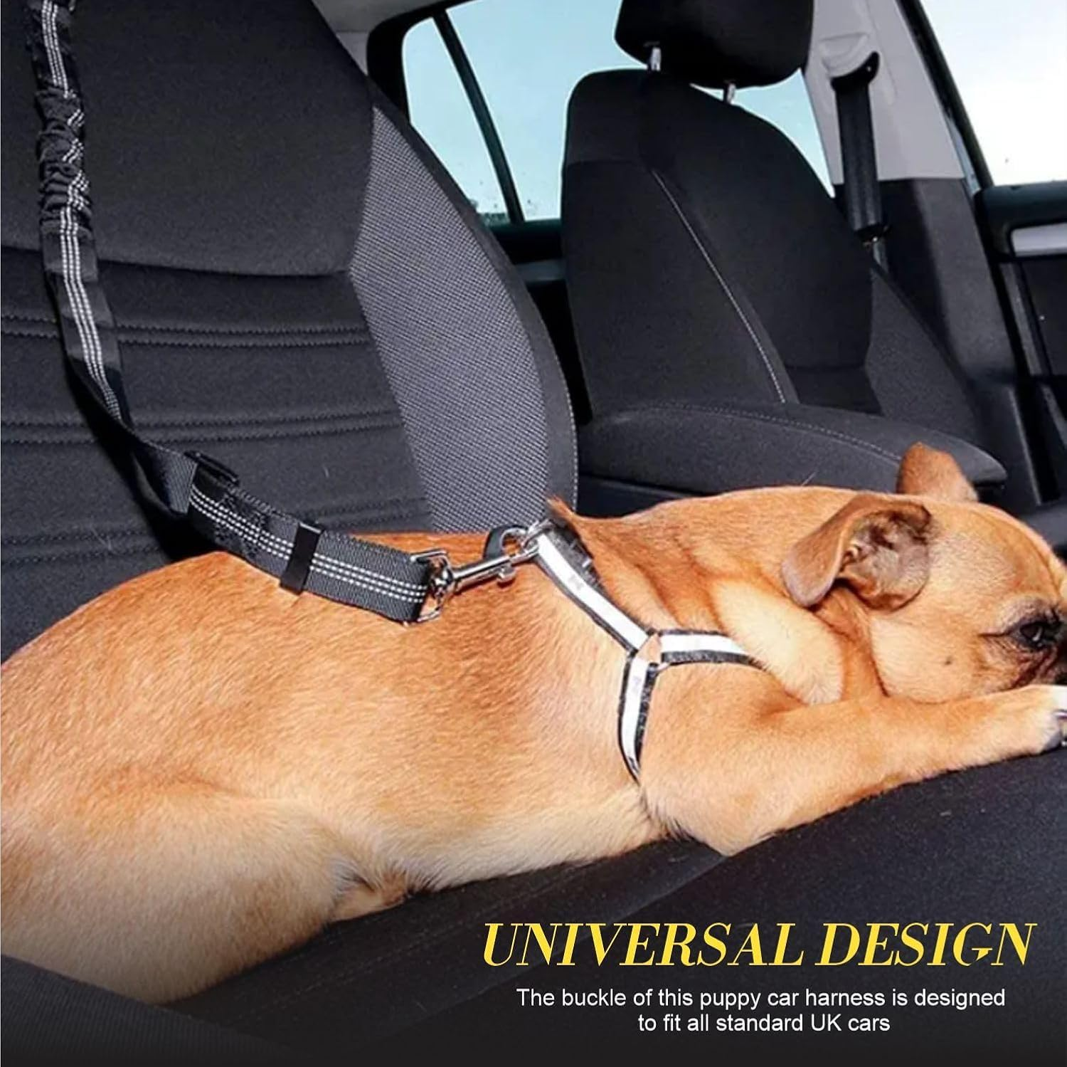 Dog Seat Belt,Adjustable Doggy Seat Belt with Elastic Bungee Buffer and Buckle Pet Vehicle Seatbelt Safety Lead Strong Dog Car Harness Puppy Travelling Leash Lead Travel Accessories (Black)