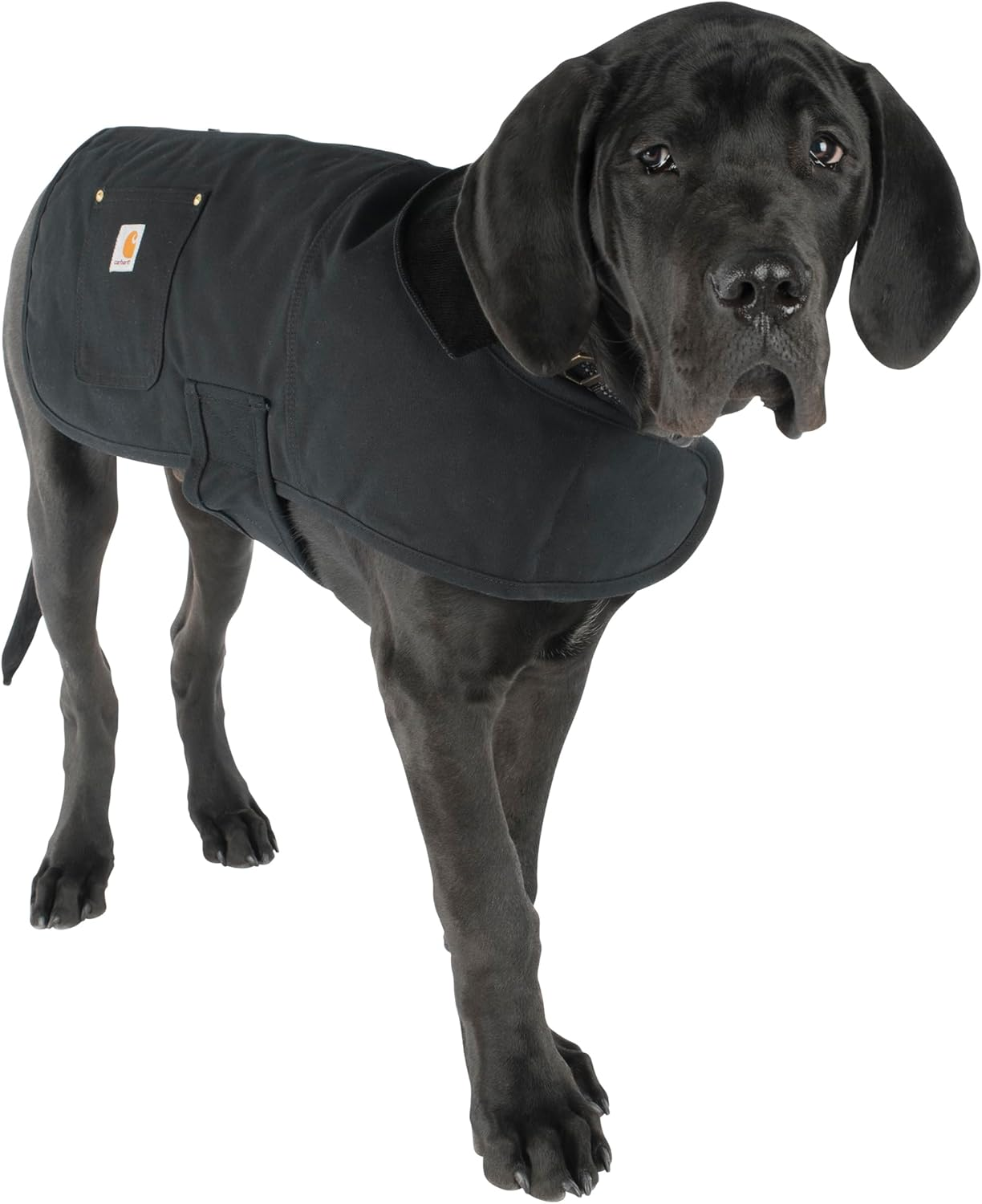 Carhartt Chore Coat, Dog Vest, Water Repellent Cotton Duck image number 5