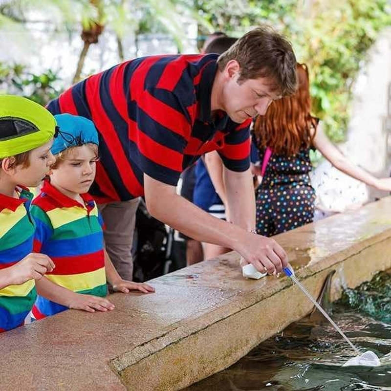 2Pcs Small Telescopic Shrimp Net, Aquarium Shrimp Net, Telescopic Fish Tank Shrimp Net, Mini Telescopic Aquarium Fish Net for Small Fish Shrimp Insect (Square Net+Round Net image number 1