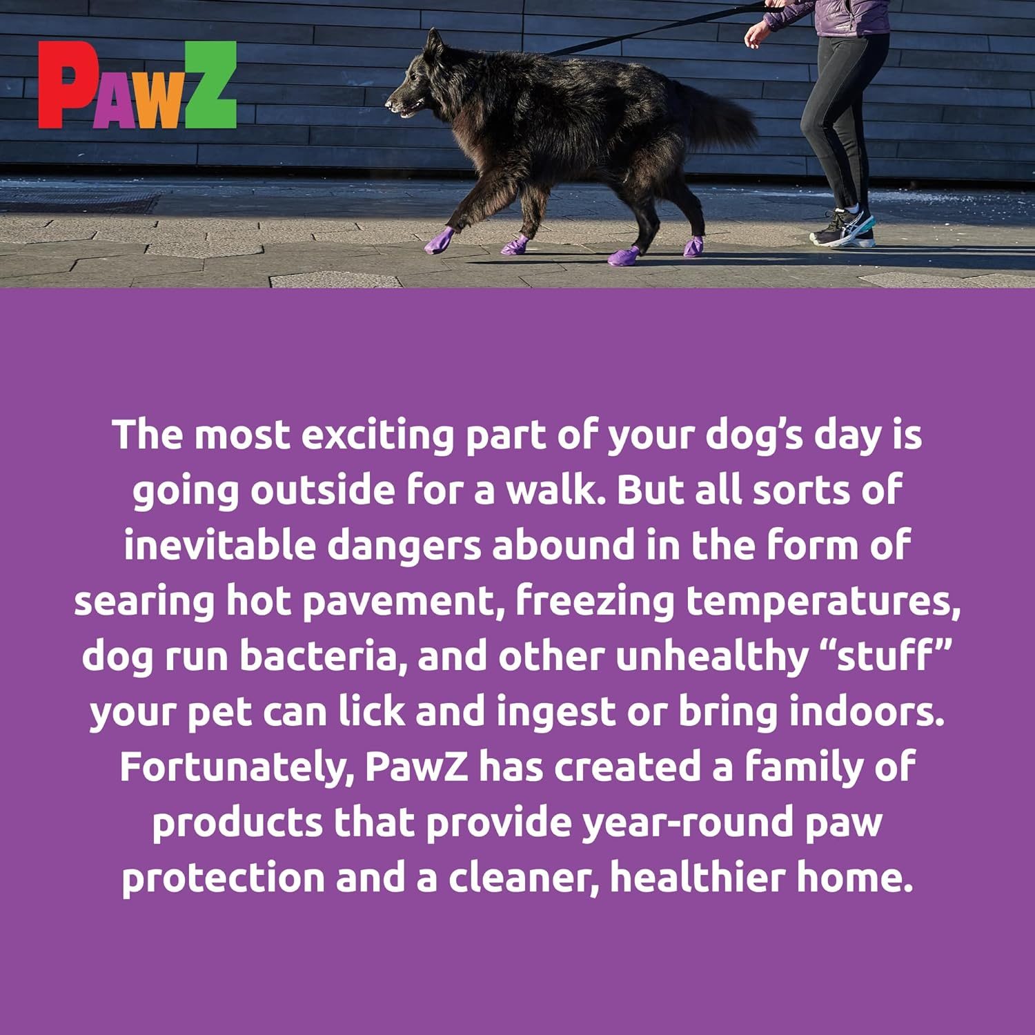 Pawz Purple Water-Proof Dog Boots, Large, Paws 3" to 4"(12 Disposable-Reusable Boots) image number 2