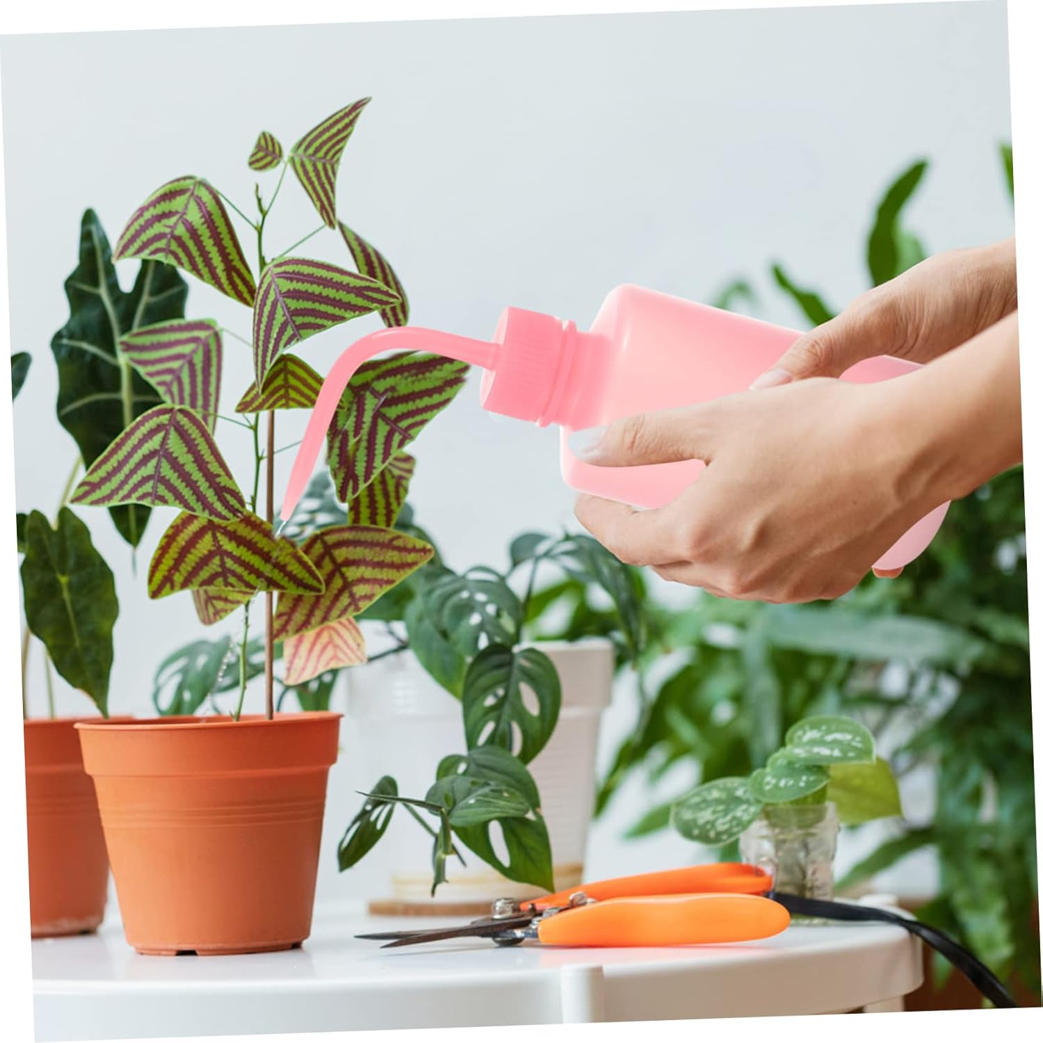 Kisangel 4Pcs Eyelashes Washing Bottles Portable Squeeze Plant Watering Bottles Angled Neck for Care and Precise Watering Design image number 5