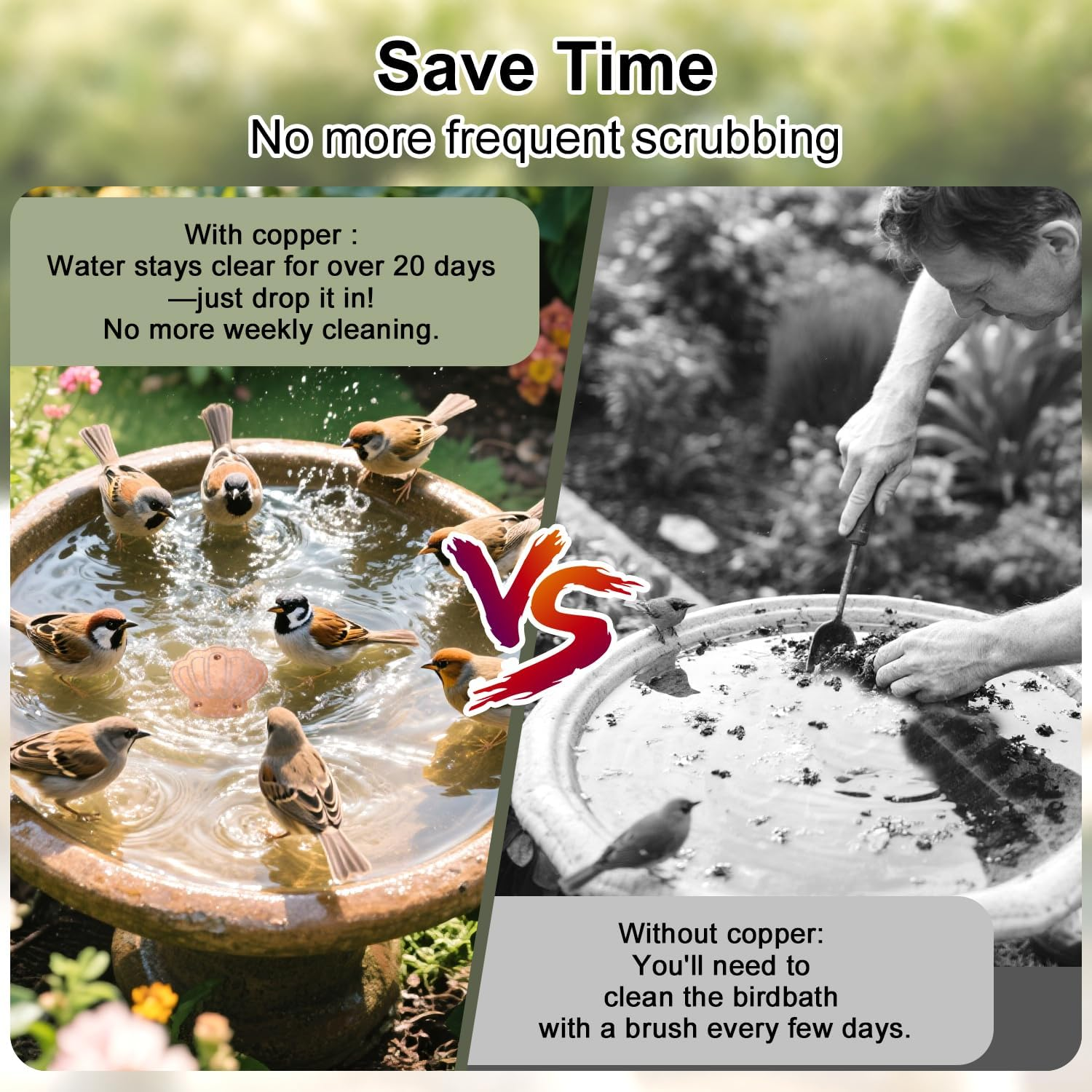 Bird Bath Copper Disk, Shell Shape Reinforced Copper Purification Disk with Triple-Point Practical Bird Bath & Bowls Cleaner for Outdoor All-Season Use image number 4