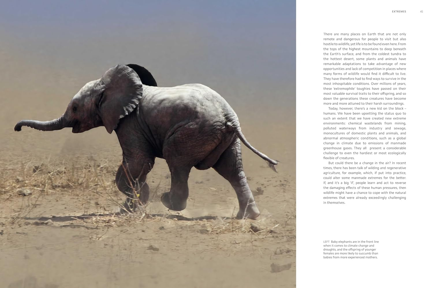 Planet Earth III: Accompanies the Landmark Series Narrated by David Attenborough image number 4