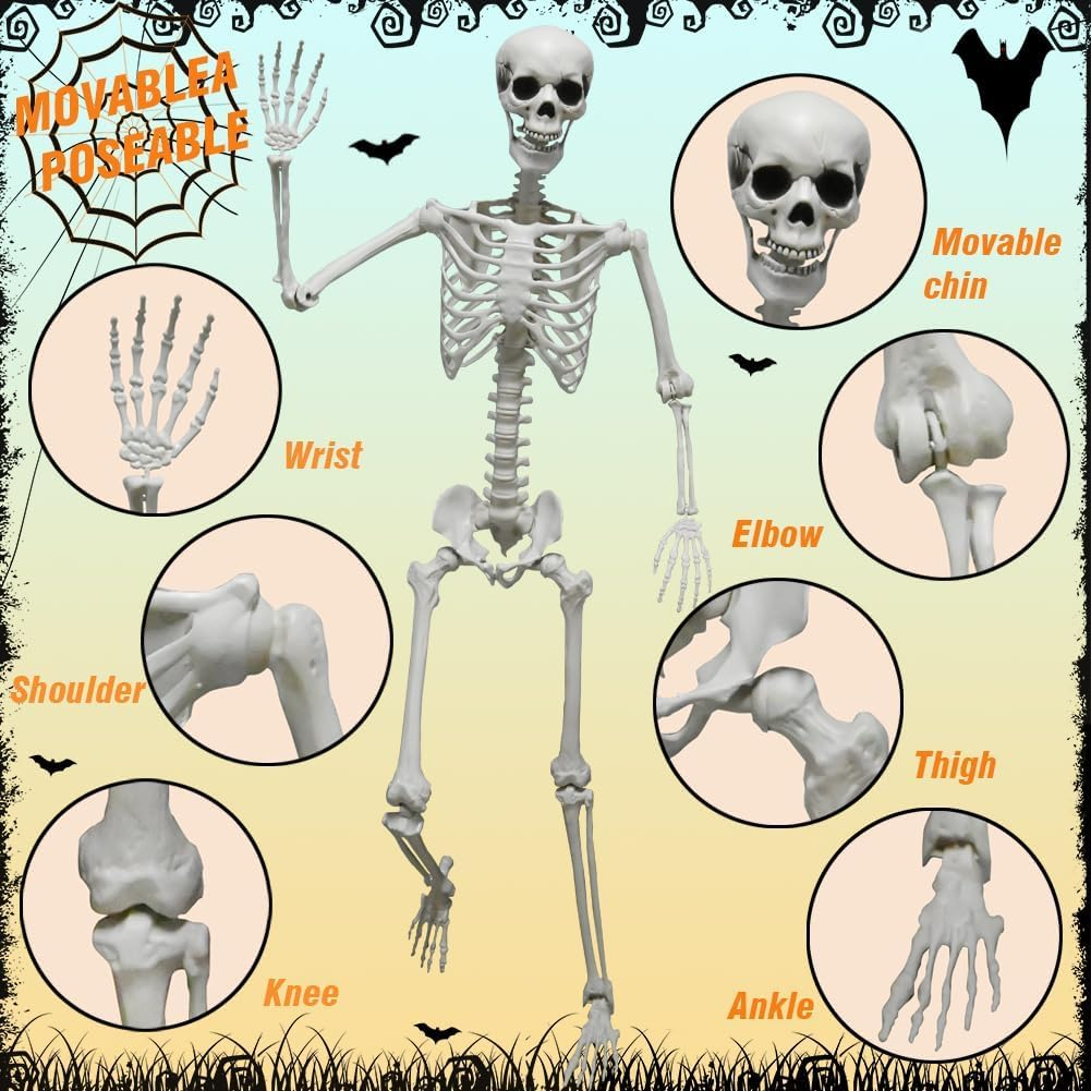 36" Skeleton Halloween Decorations, 90CM Full Body Human Skeleton with Movable Joints for Halloween Haunted House Graveyard Party Scary Decor image number 6