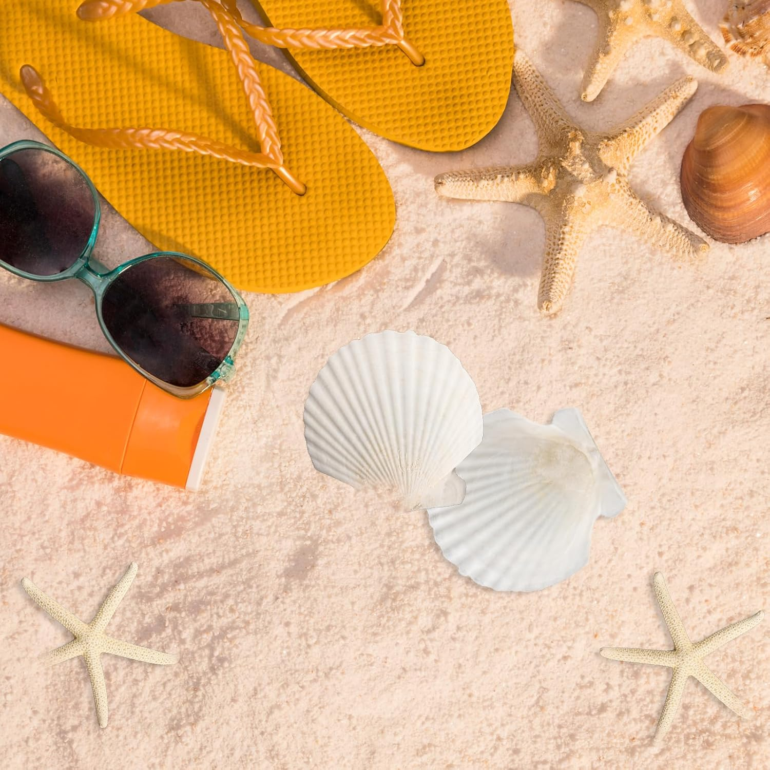 12PCS Starfish Scallop Shells for Crafts 3.5"-4.7" Large Mixed Star Seashells Bulk Fish Shells Decorations for Making Fish Tank Home DIY Decorations Wedding Decor Crafting Craft image number 4