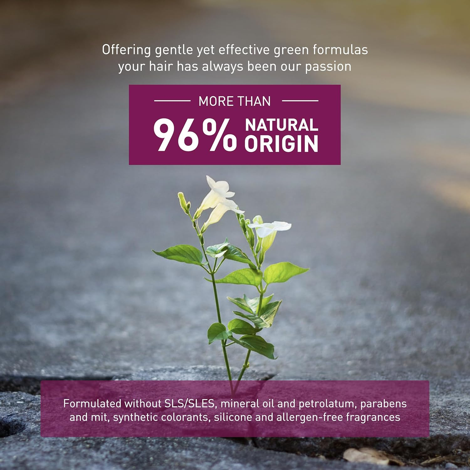 Insight Shampoo Volume 100 Ml image number 3