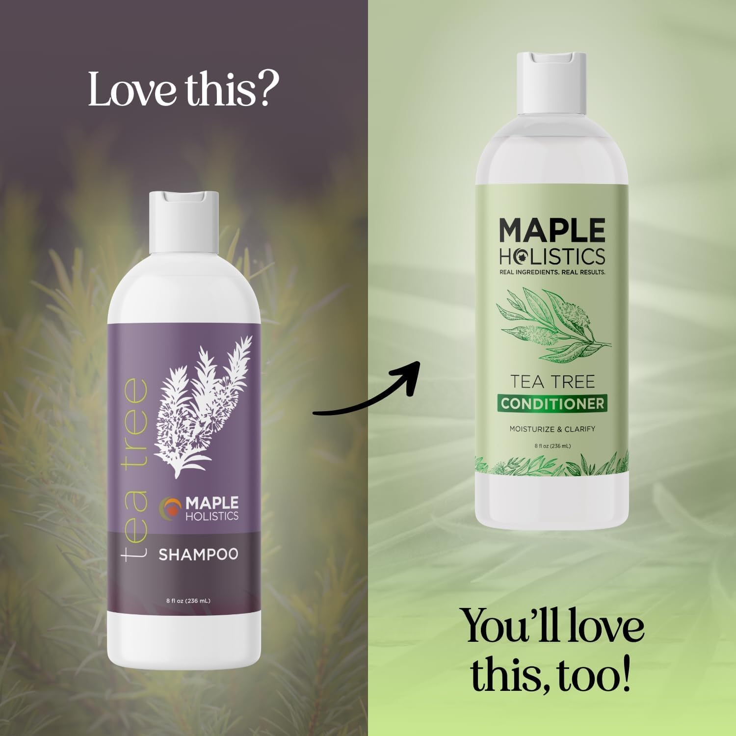 Maple Holistics Tea Tree Oil Shampoo - Pure and Natural for Women and Men - anti Dandruff Haircare - Safe for Color Treated Hair - Usa Made By image number 3