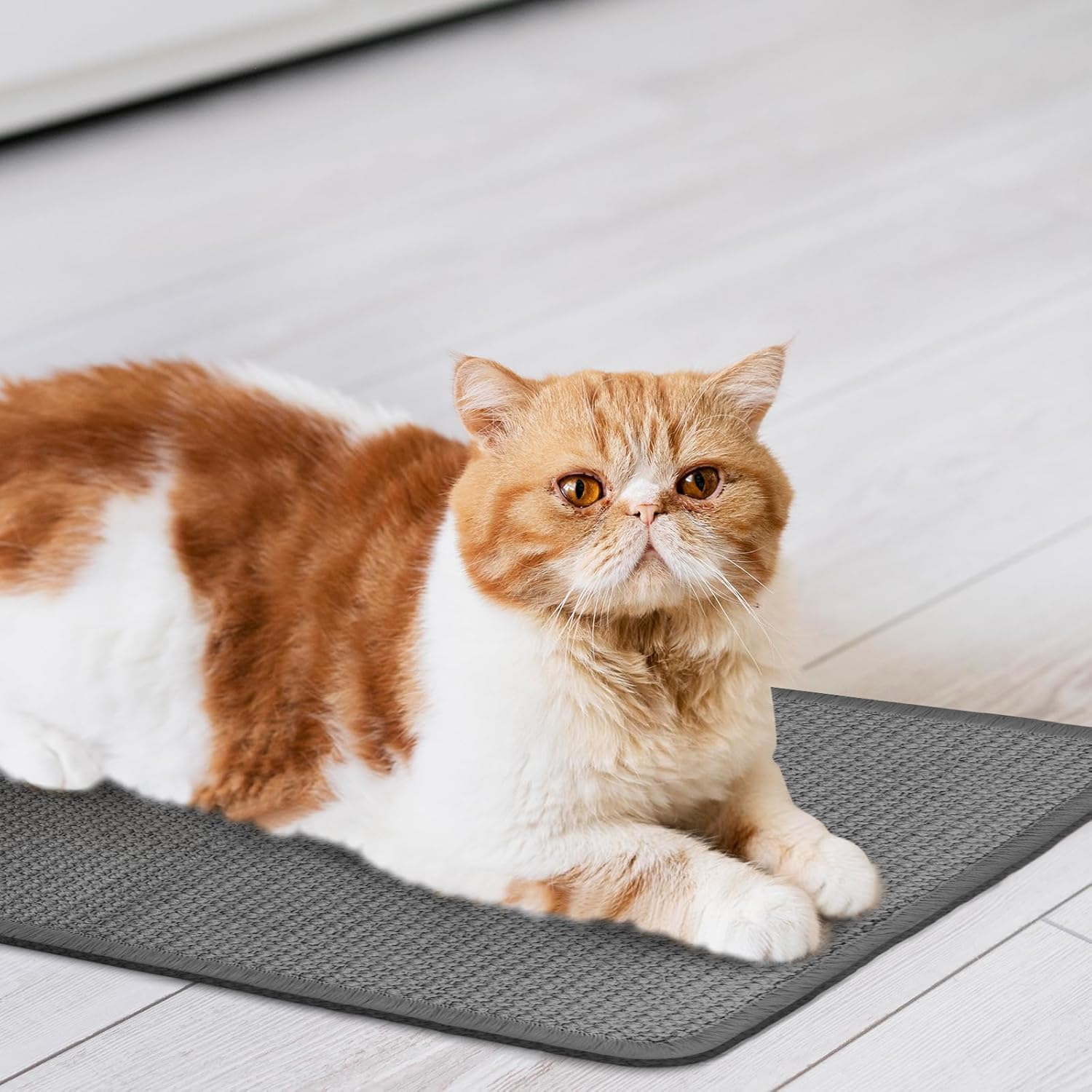 2-Piece Cat Scratching Mat, Sisal Mat, Cat Scratching Boards 50 X 25 Cm, Scratching Mat, Cat Wall with Adhesive Tape, Scratching Mat, Durable Sisal Rug, Cats, Cat Scratching Board, Doormat Furniture image number 2