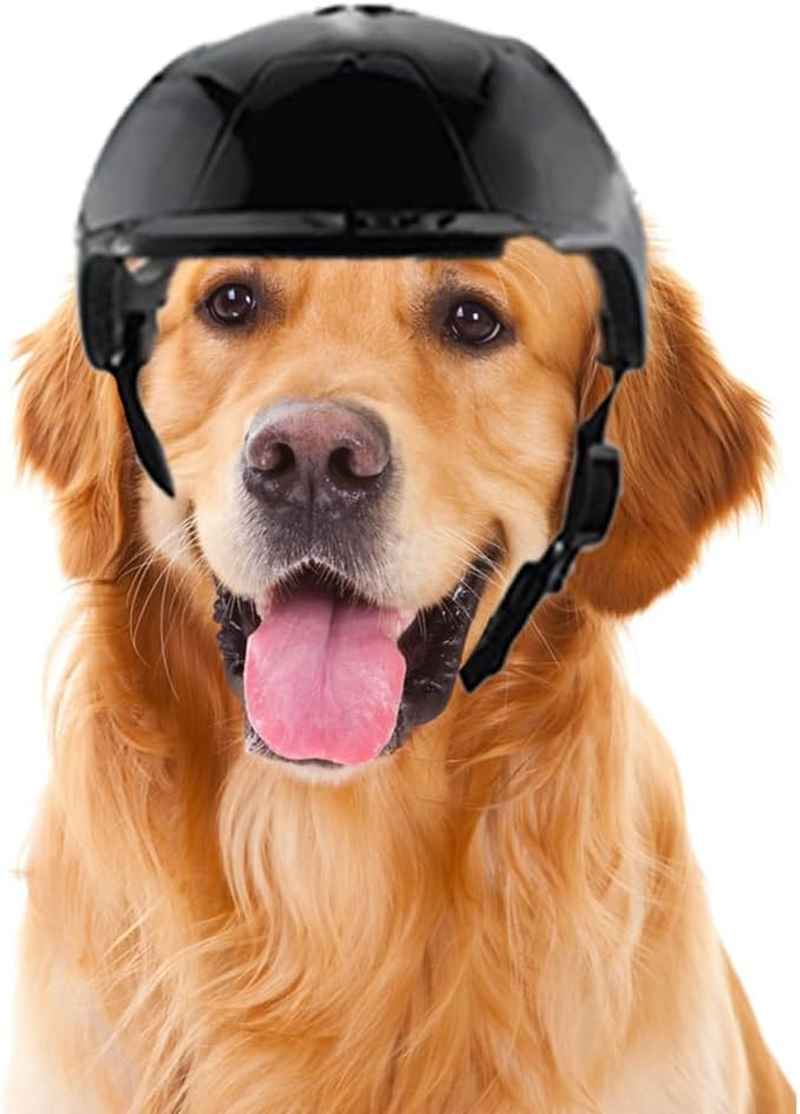 Dog Helmets for Small Dogs with Ear Holes, Hard Pet Dog Hat for Puppy, Windproof Doggies Motorcycle Helmets for Outdoor Riding Hiking Cycling,Motorcycle/Bike Hat for Cat (Black) image number 1