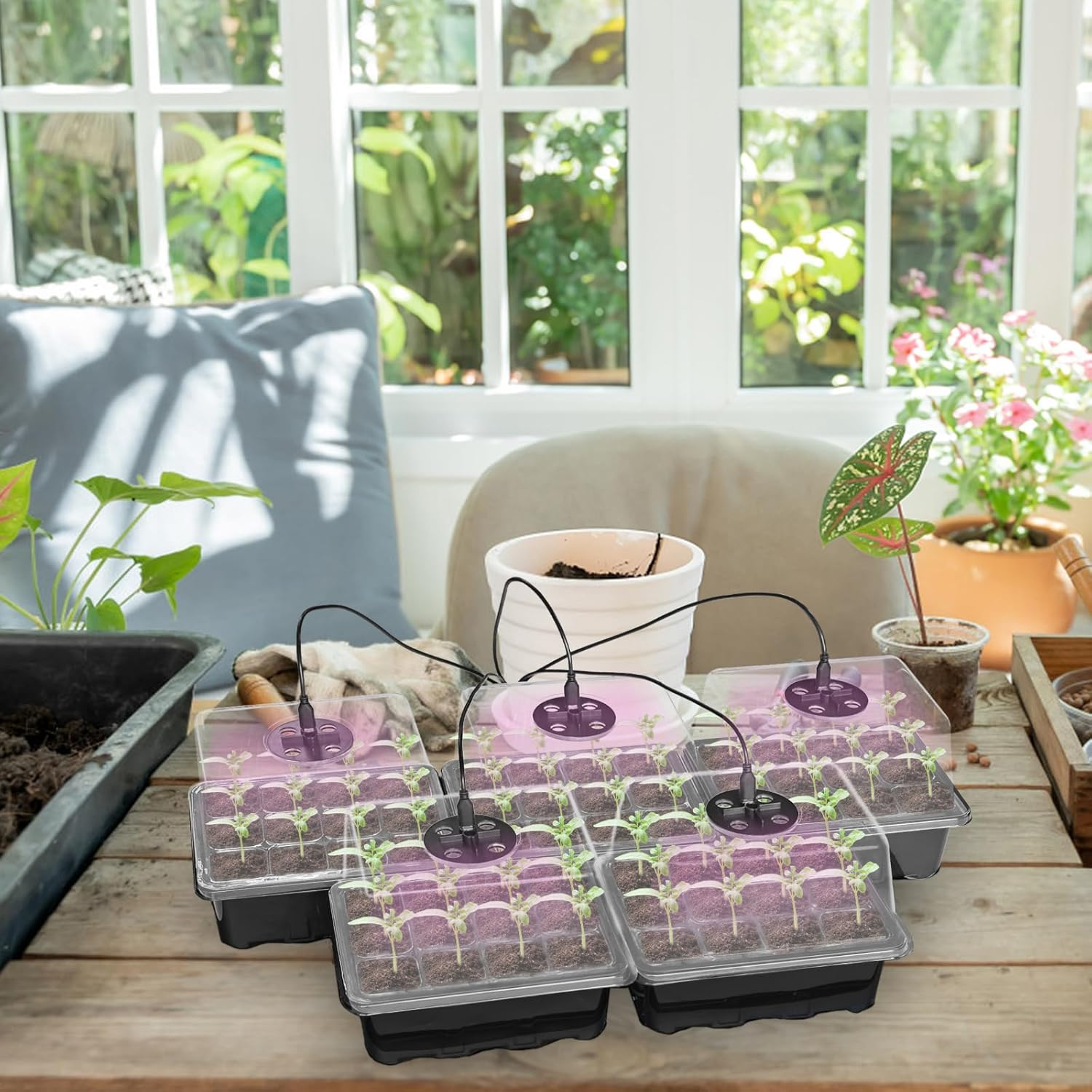 Seed Starter Tray with Grow Light, 5 Pack 60 Cells Seed Starter Kit with Humidity Dome and Base, Plant Seedling Trays Indoor Greenhouse Gardening image number 4