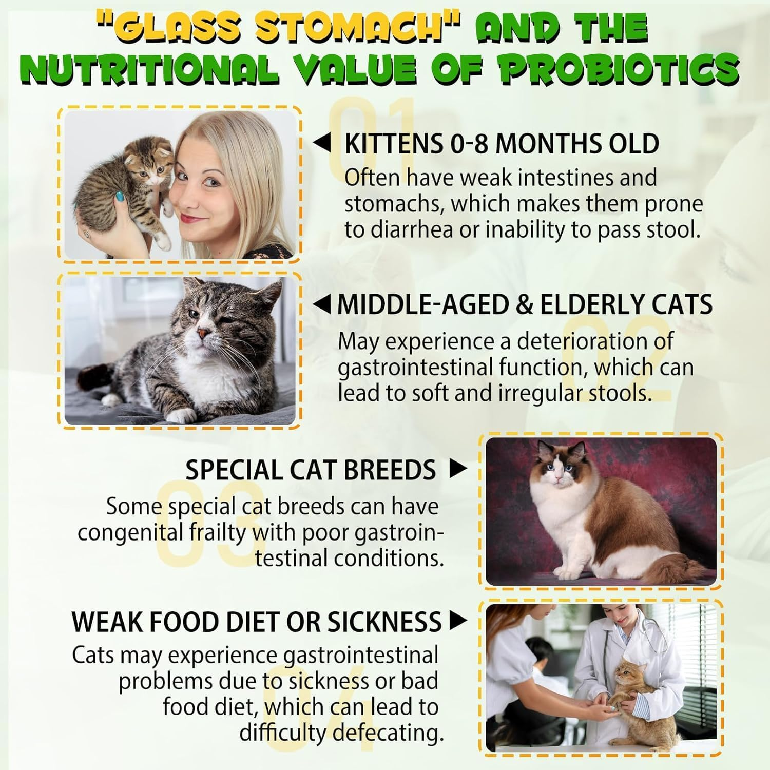 Cat Constipation Relief Drops 60Ml | 100% Natural Cat Laxative with 6 Probiotics | Effective Stool Softener for Cats | Promotes Digestive Health | Chicken Flavour image number 3