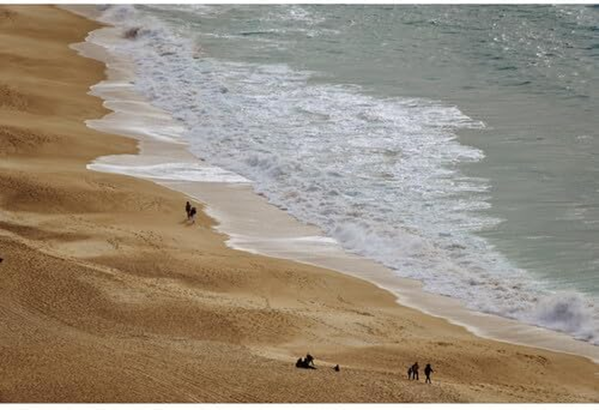 Sigma Lens 16-300Mm F3.5-6.7 DC OS Canon RF Mount High Magnification Zoom Standard APS-C Cantemporary Mirrorless Only image number 3