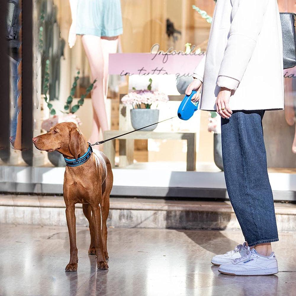 Ferplast Flippy One Tape Dog Leash, Blue, Medium image number 2