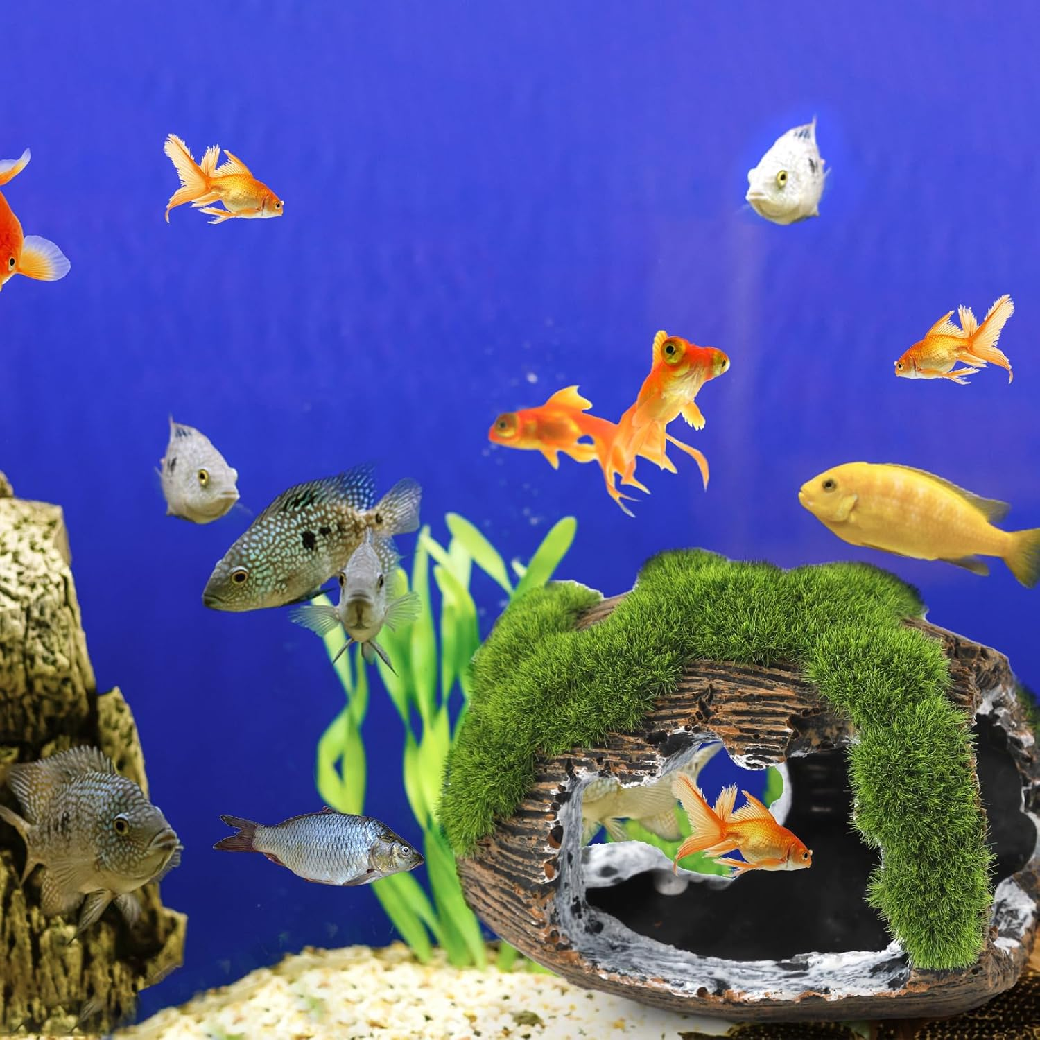 NQEUEPN Broken Barrel Fish Tank Decor, Fish Tank Accessories Decorations Resin Betta Fish Hideout Cave for Fish Tank Ornaments for Small Animal Play Rest Hide Breed image number 3