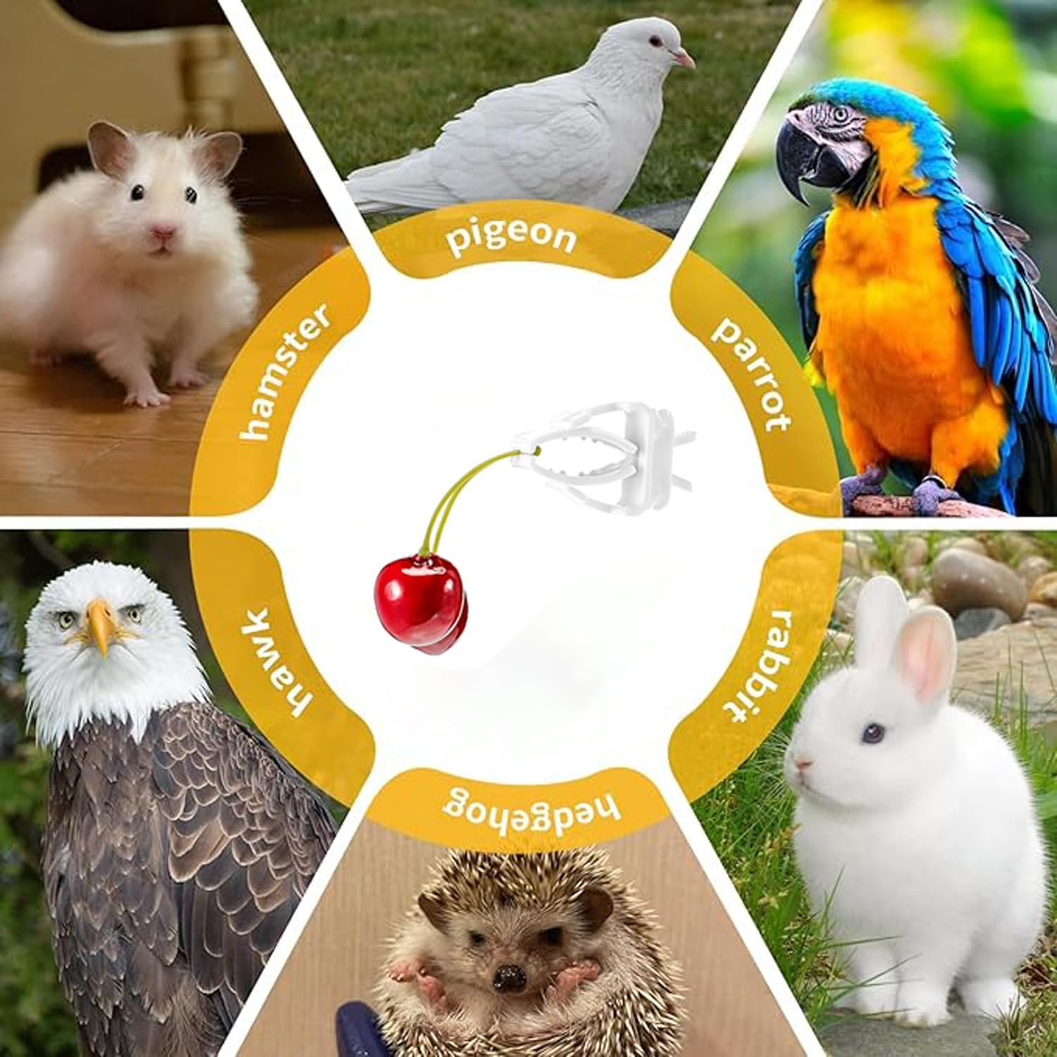 12Pcs Bird Cage Fruit Vegetable Clips, Bird Cage Food Clips, Food Holder, Parrot Fruit Vegitable Bracket, Feeder for Budgie Parakeet Cockatoo Macaw Cockatiel Conure