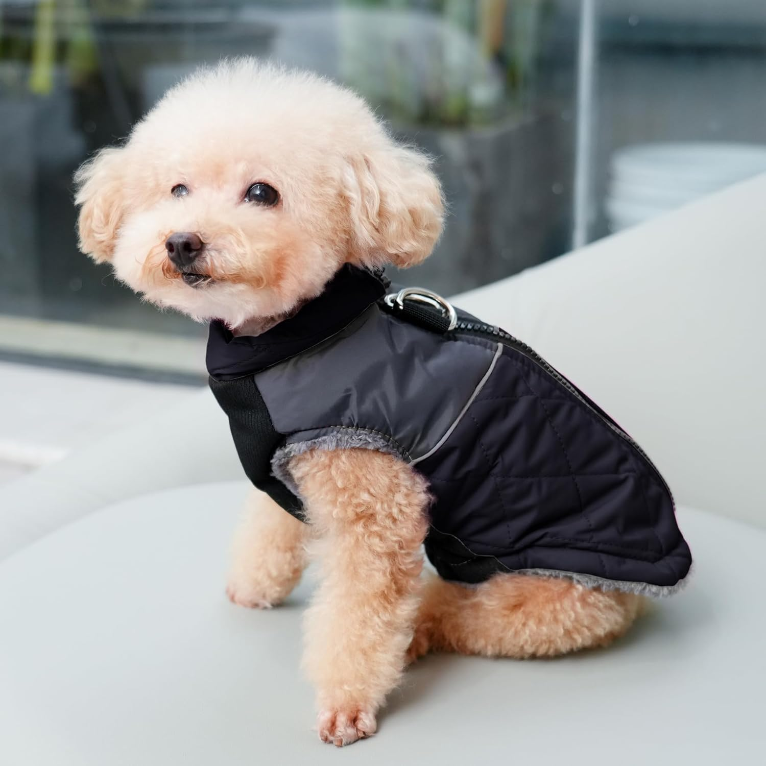 Joydaog Warm Fleece Dog Clothes, Dog Outfits, Dog Coats for Large Dogs, D-Rings Waterproof Puppy Jacket Vest for Cold Winter, Black XXXL image number 7