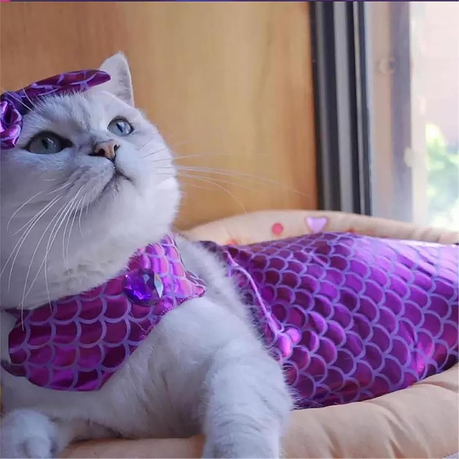 Cat Mermaid Costume - Mermaid Costume for a Small Dog or Cat, Mermaid Cat Costume, Cat Mermaid Outfit, Cat Mermaid Tail, Mermaid Costume for Cat, Funny Mermaid Cat Clothing (S,Green) image number 3