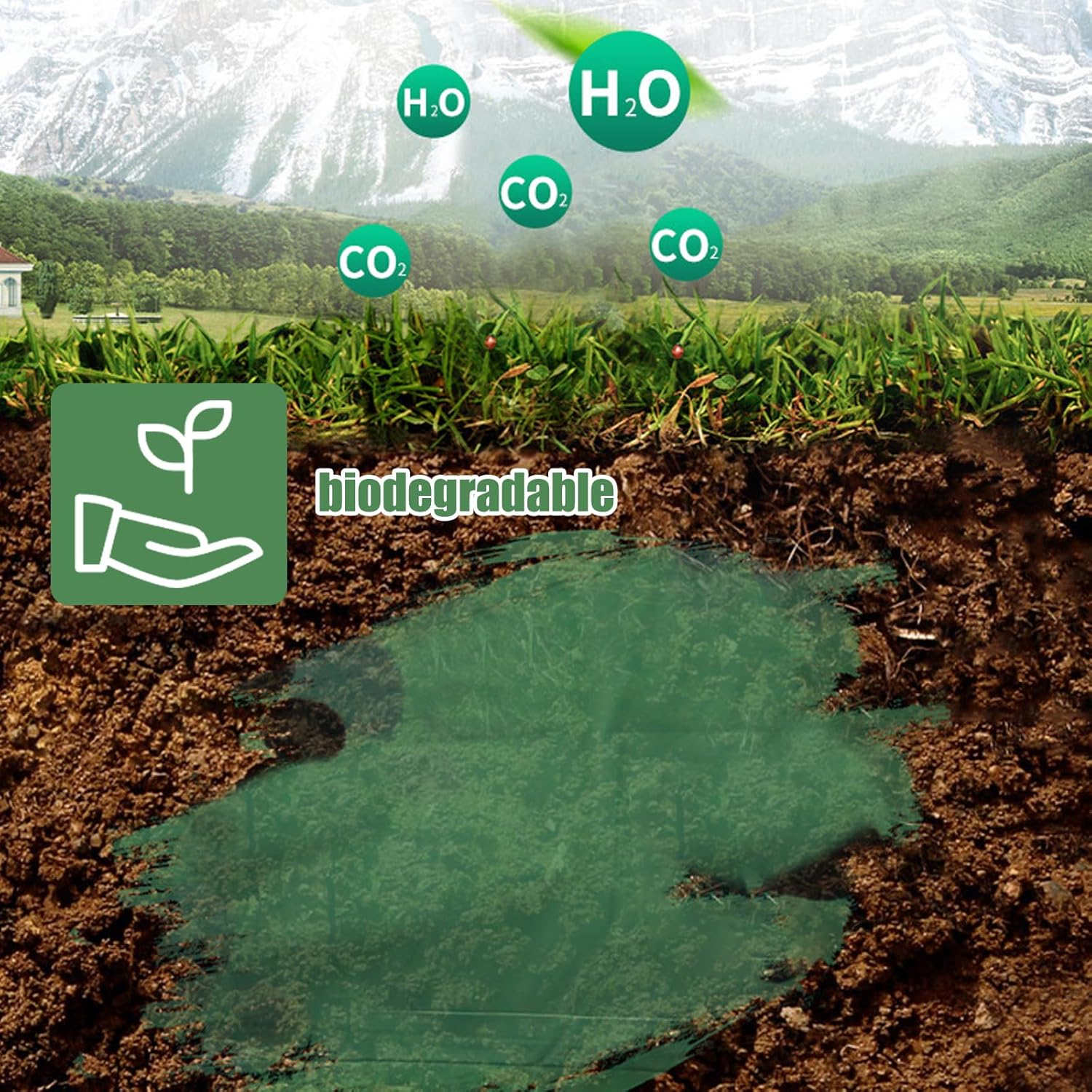 RTRTGS Pack of 150 Dog Waste Bags, Dog Bags, Waste Bags for Dogs - 30 X 21.5 Cm, Polyethylene Material, Portable - Green (10 Rolls, 15 per Roll) image number 2