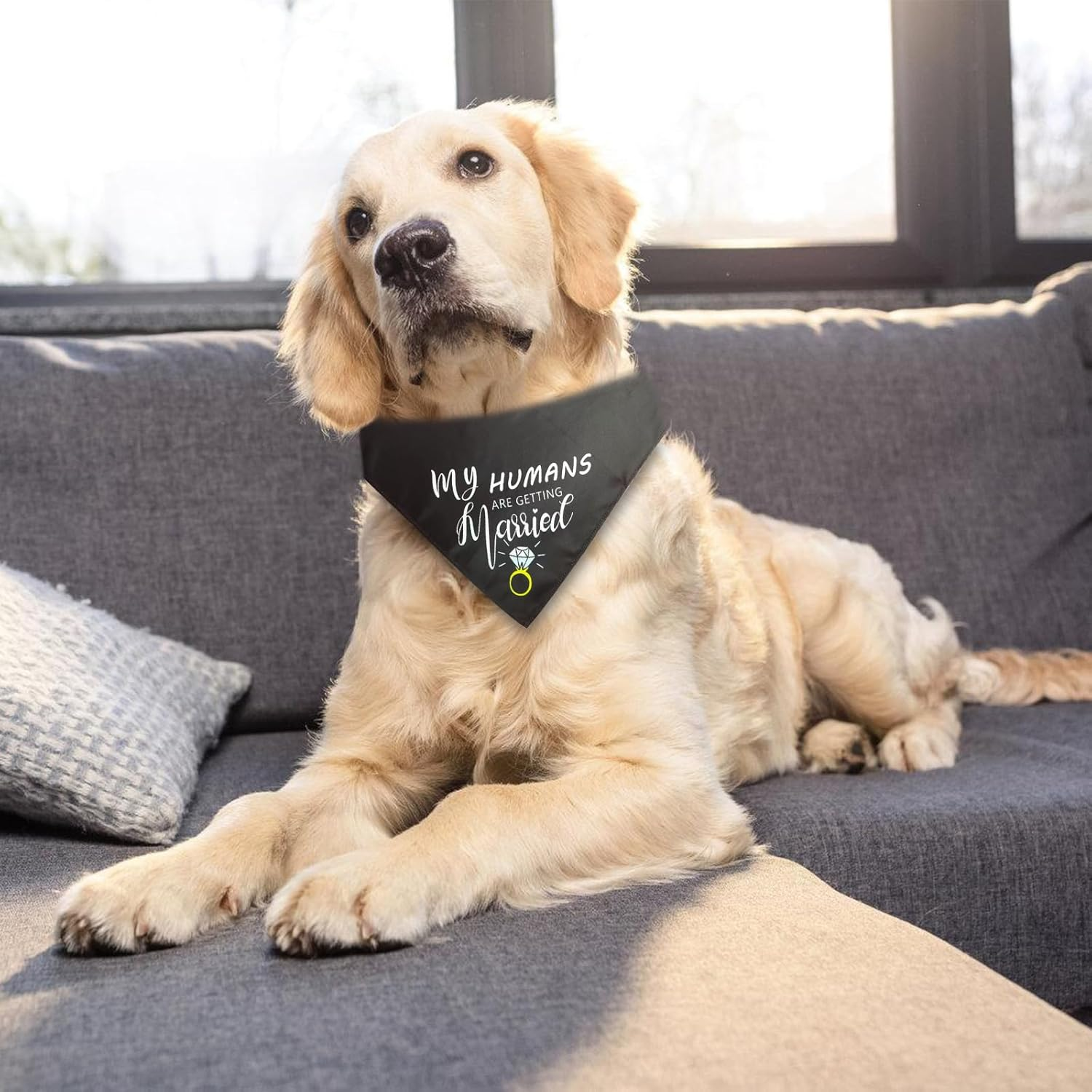 Dog Wedding Bandana, 2 Pieces My Humans Are Getting Married She Said Yes Pet Scarf, Triangular Collar, Pet Accessories for Dog Lovers, Medium and Large Dogs and Cats image number 1