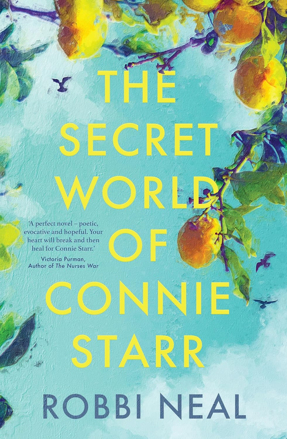 The Secret World of Connie Starr - Paperback