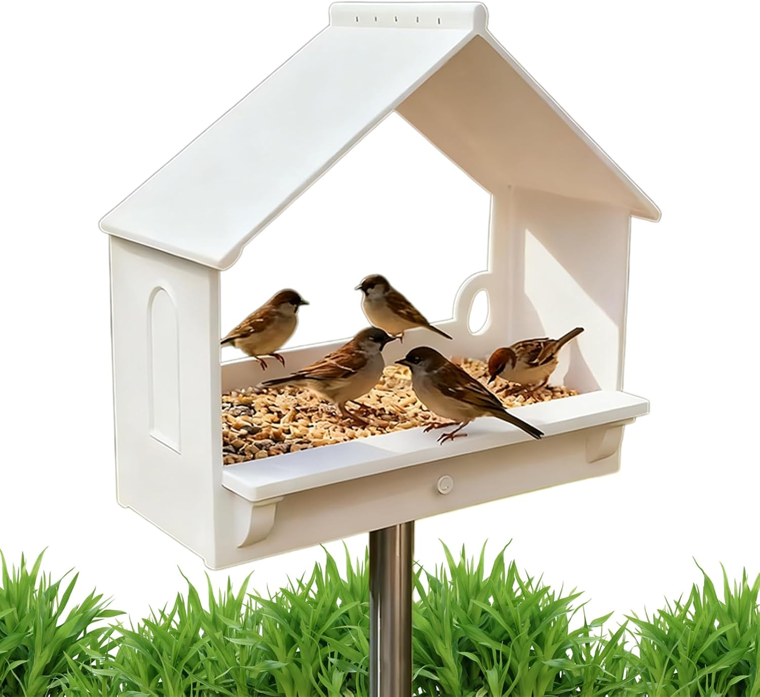 Hummingbird Feeder Window - Transparent Back Feeding Station - Transparent Back House Bird Feeder - for Squirrel outside Garden Window Winter Balcony Viewing Deck image number 4