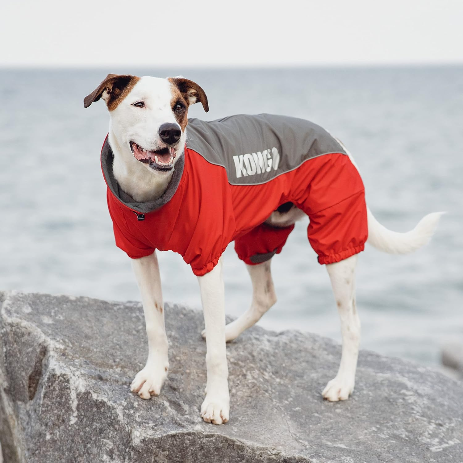 KONG Red Full Coverage Snowsuit for Dogs, Large image number 6