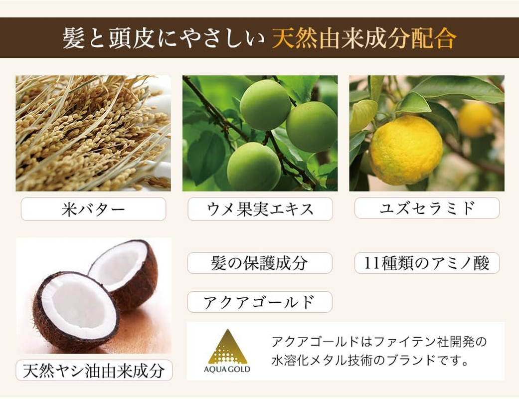 Phiten (Phiten) Lock-In Color Shampoo B 1000Ml 0916HSH9100