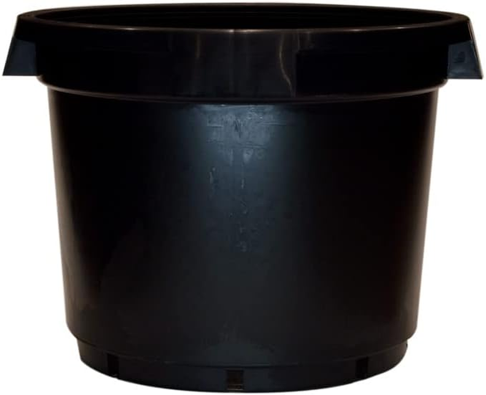 Home Leisure Reko Pot with Handle 510 Mm Size, Black (RRSTD510.01)