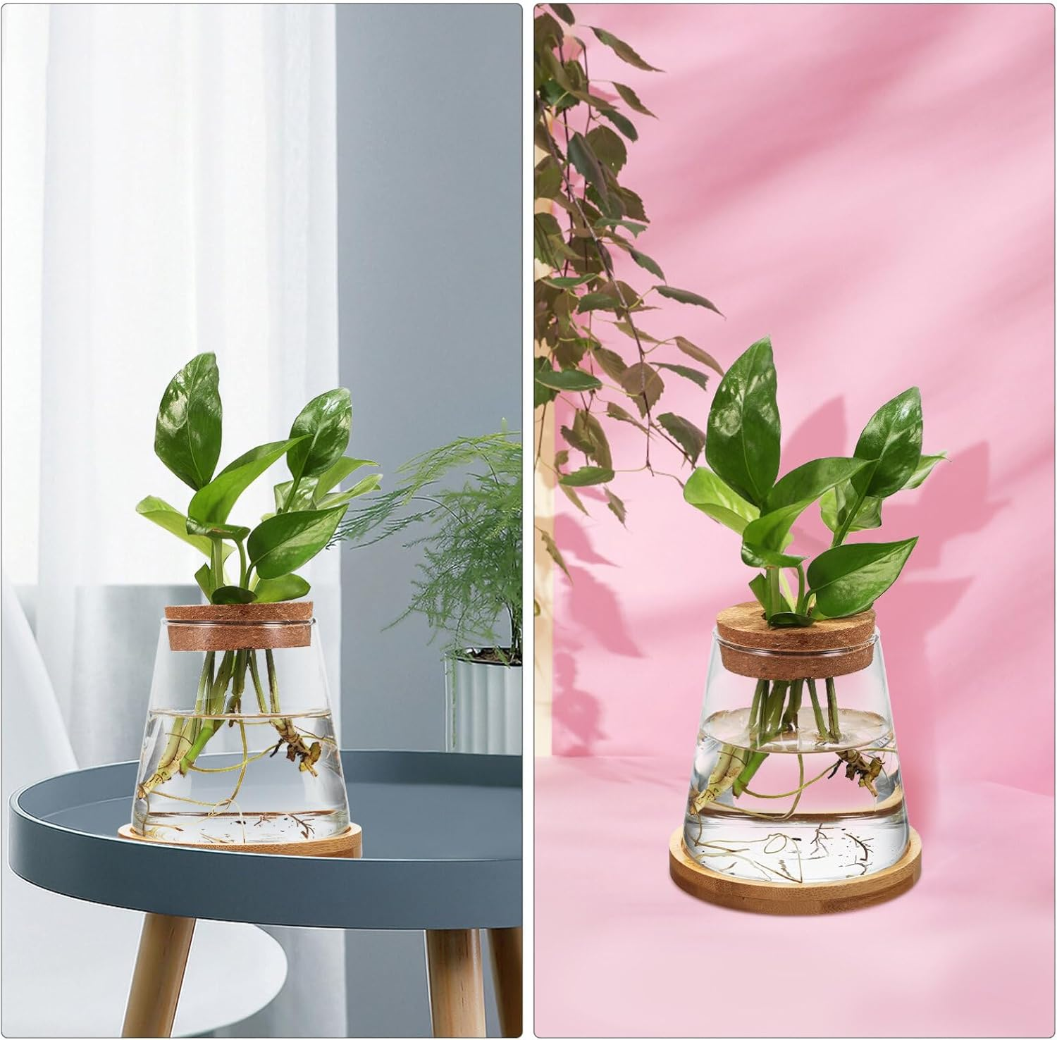 TOVINANNA 2Pcs Hydroponic Plants Terrarium with Cork Stopper and Base Glass Propagation Jars for Indoor Greenery Decor Elegant Water for Home Centerpiece