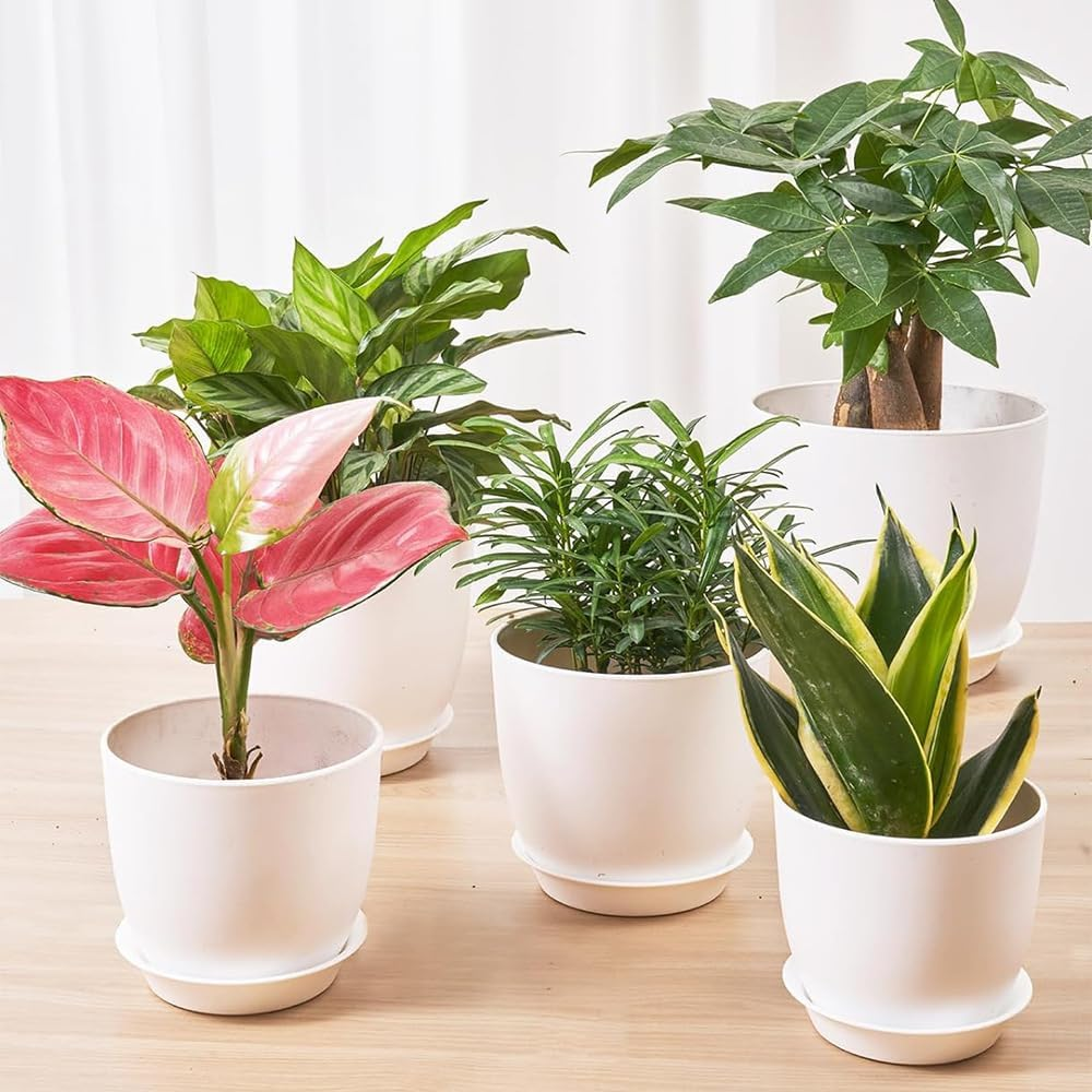 5 Pack Modern Indoor/Outdoor Plant Pots - White Plastic Planters with Drainage Holes & Trays | Decorative Flower Pots for Home Gardening