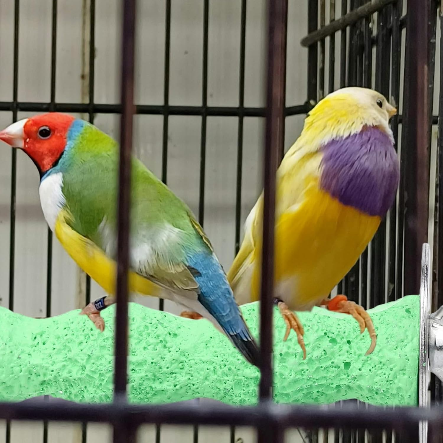 2Pcs Anti-Slip Bird Beak Grinding Stones, Washable Resin Bird Beak Trimmer & Nail Filing Stand Platform Cage Accessories for Parrots Budgies Cockatiels Parakeets image number 1