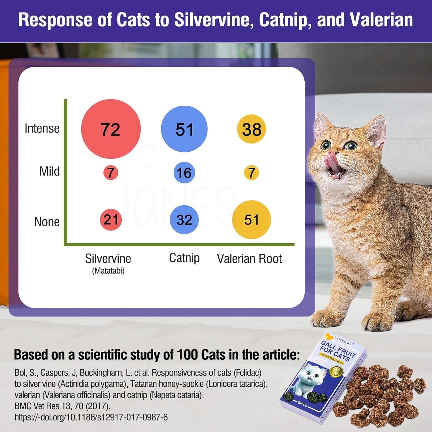 Havenjanny 20Pcs Dried Silvervine Gall Fruit, Natural Silver Vine Cat Chew Toy, Matatabi Cat Toy for Dental Cleaning Hard Chew Cheer Up image number 5