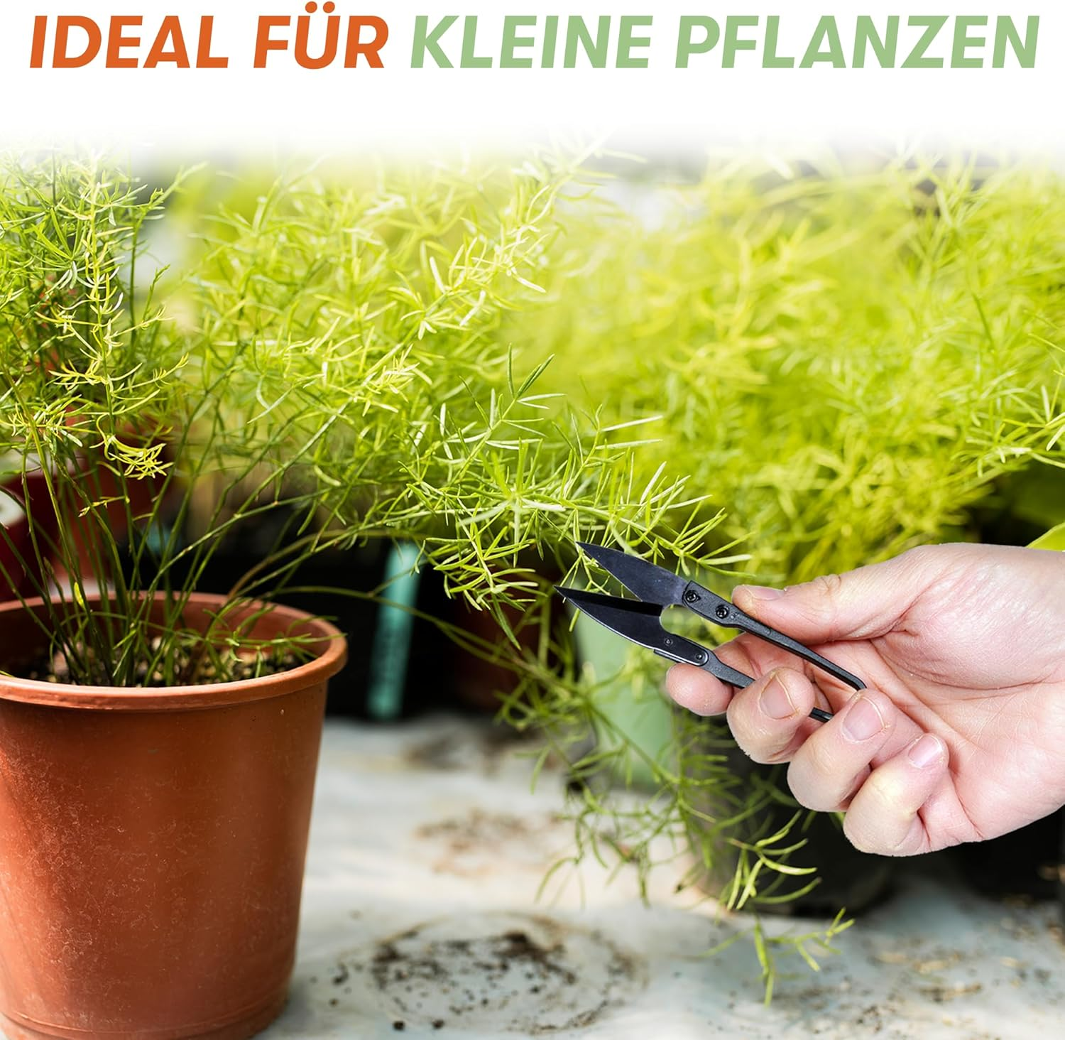 3-Piece Mini Secateurs Set - Sharp Stainless Steel Scissors for Plant Care and Fine Work - Ideal for Pruning Grow Buds, Leaves and Thread Cutters - Versatile and Precise (Black)